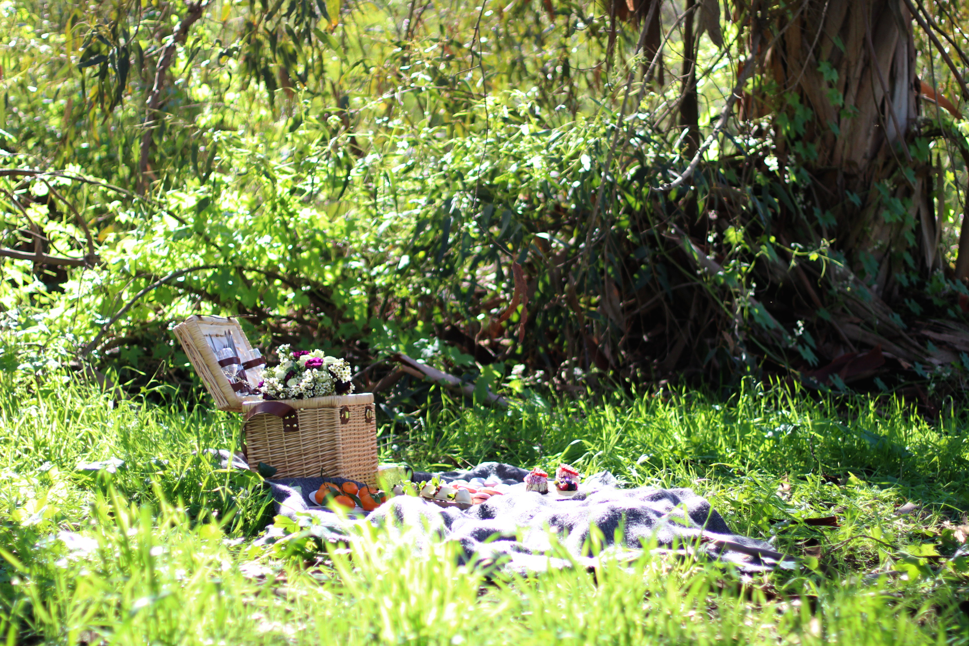 Picnic in the Park livekerfully.com