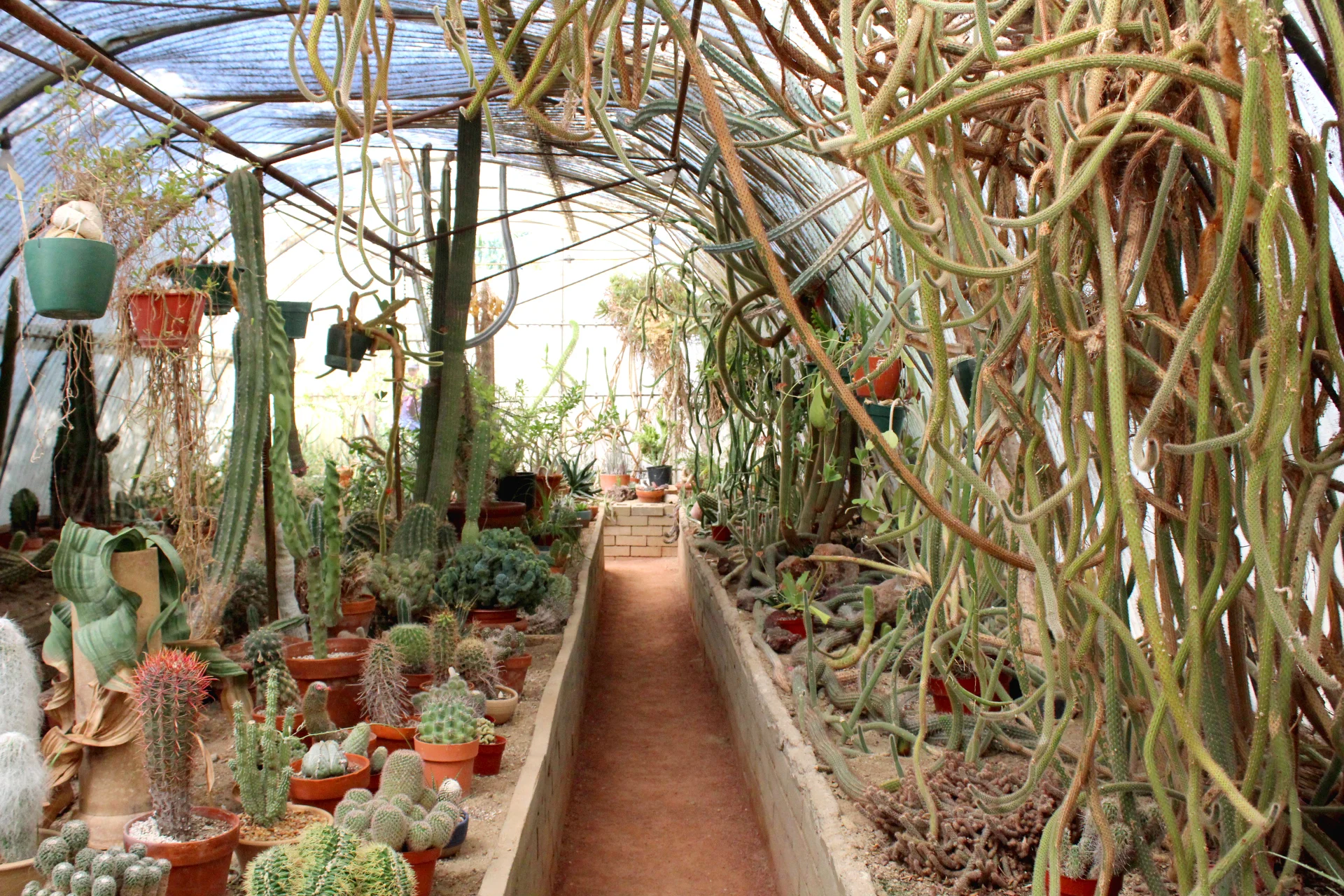 24 Hours in Palm Springs