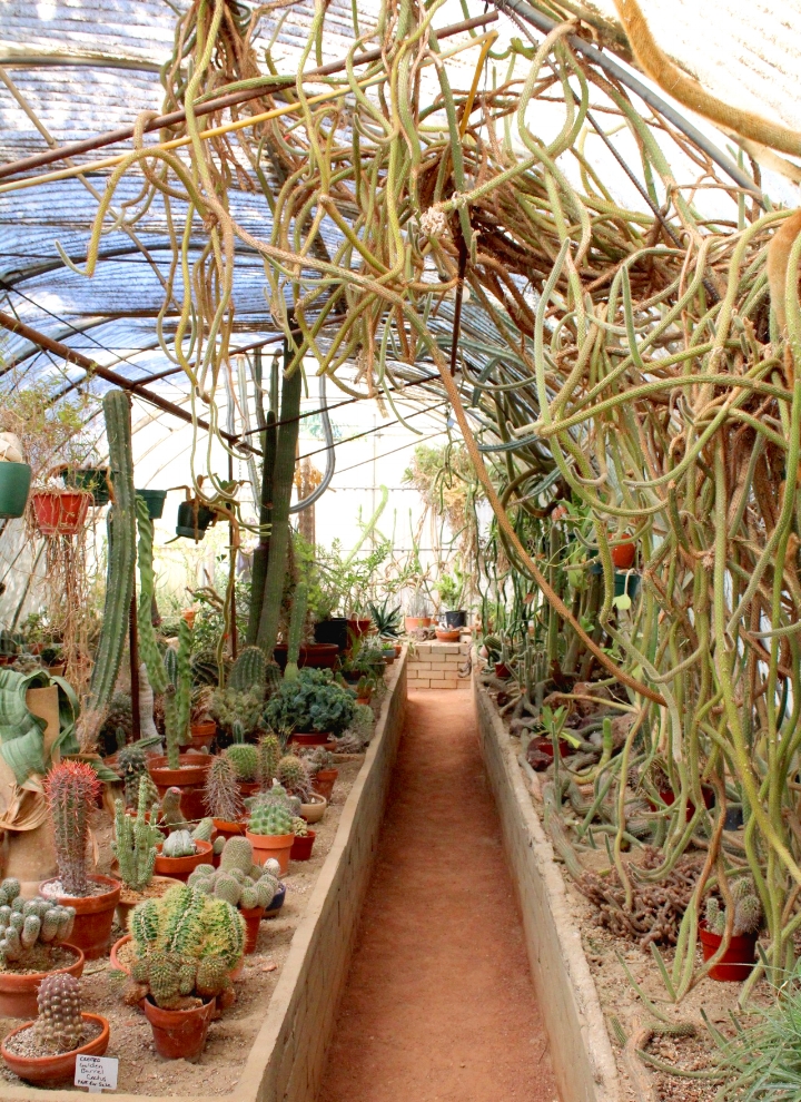 24 Hours in Palm Springs