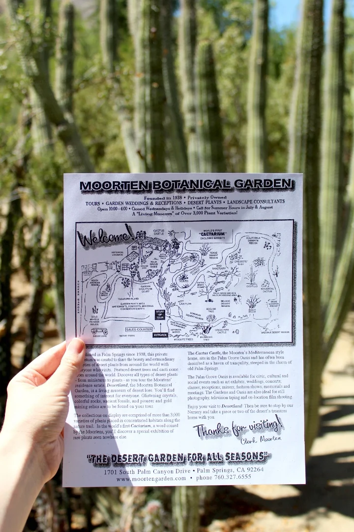 24 Hours in Palm Springs