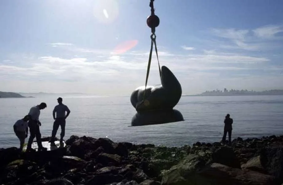 The Sausalito Foundation