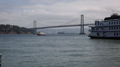 PKU Proud - Long - 052418_1_2.gif