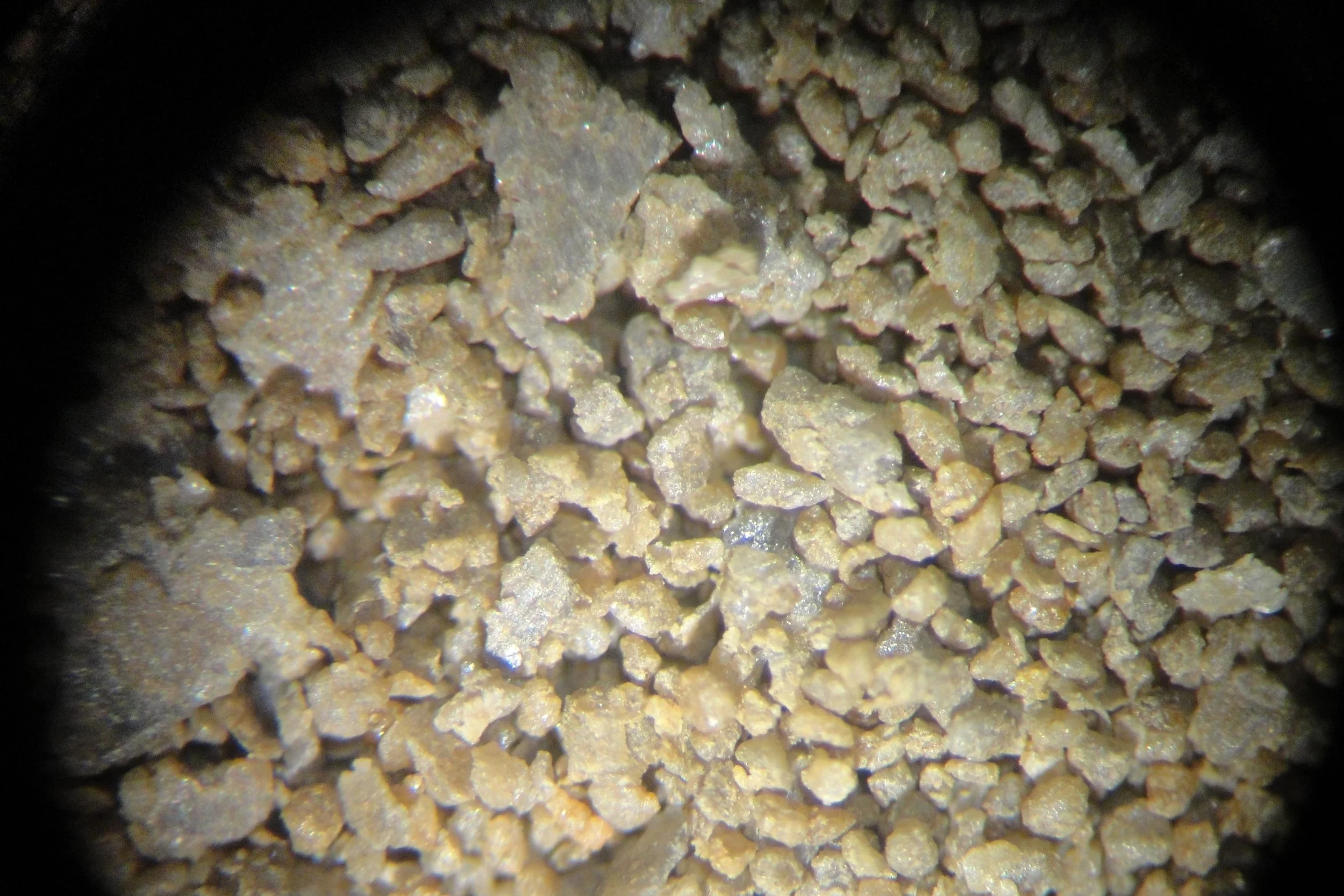 sample 2.jpg