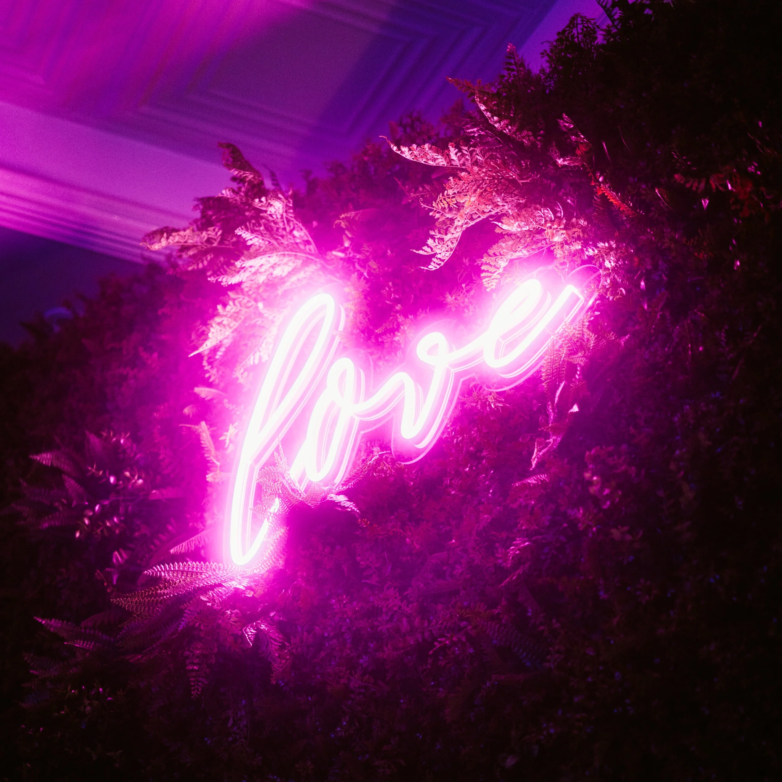 WHAT DID YOU THINK ABOUT GOLDBOOTH?