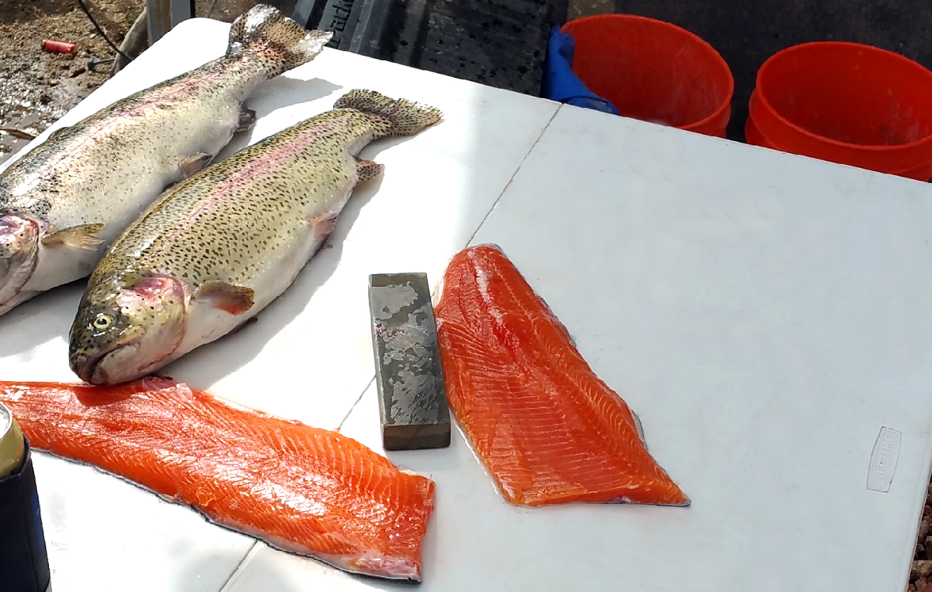 rachel-vonfleck-from-fish-to-fillet-trout