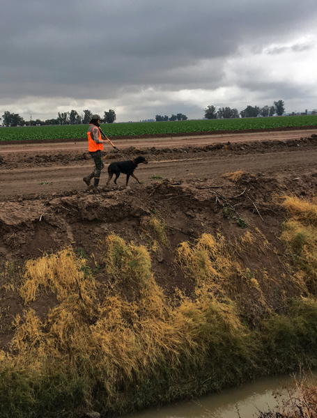 It was muddy, cloudy, and raining off and on during the entire trip.
