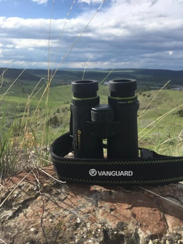 RCG Product Review - Vanguard ENDEAVOR ED II Binoculars