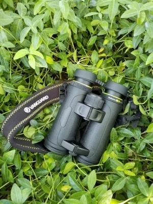 20170624_123749.jpg