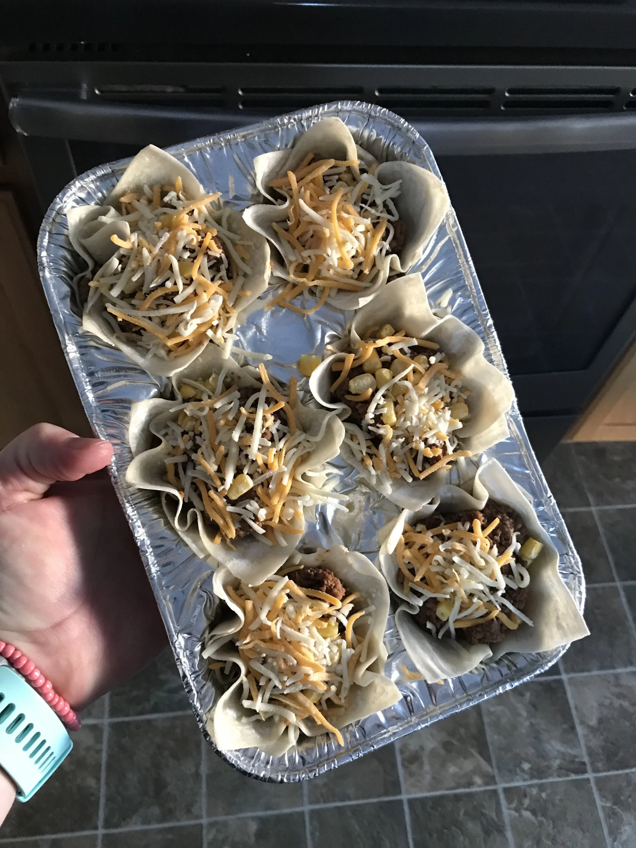 Wonton Elk Tacos