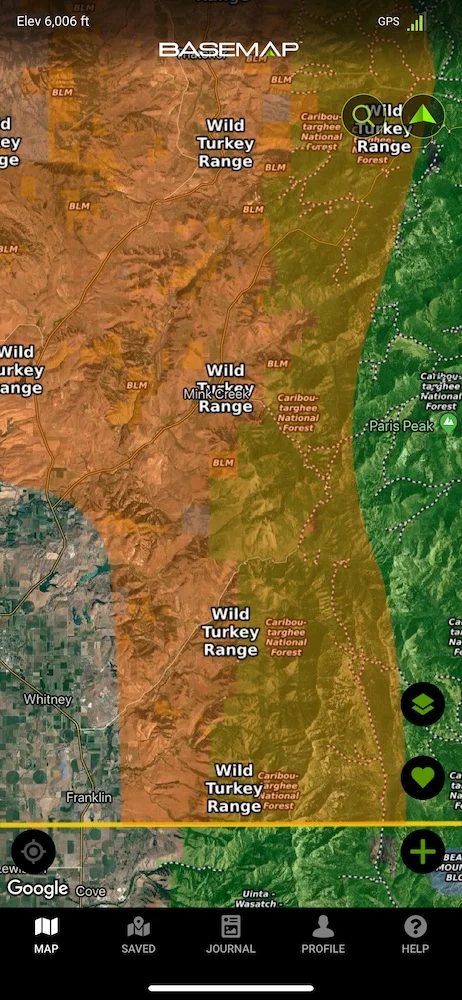 wild-turkey-range.jpg