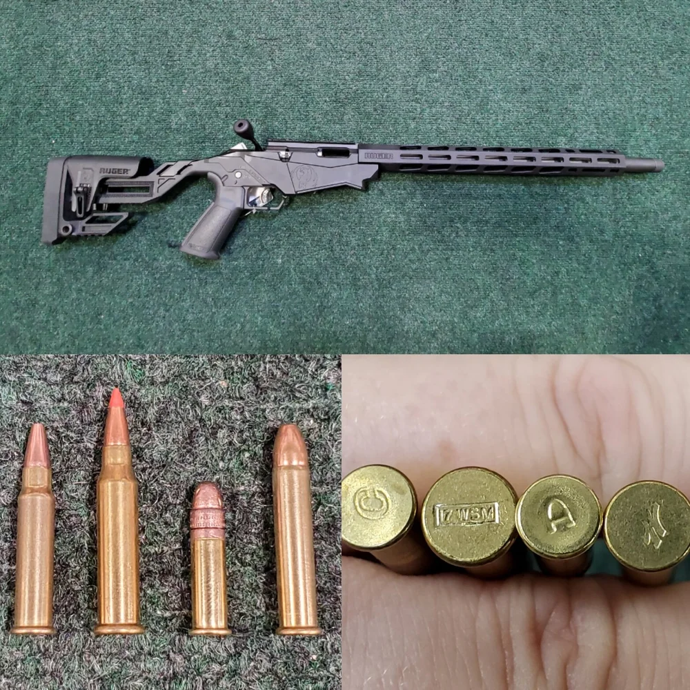 RIFLE AMMO in usa