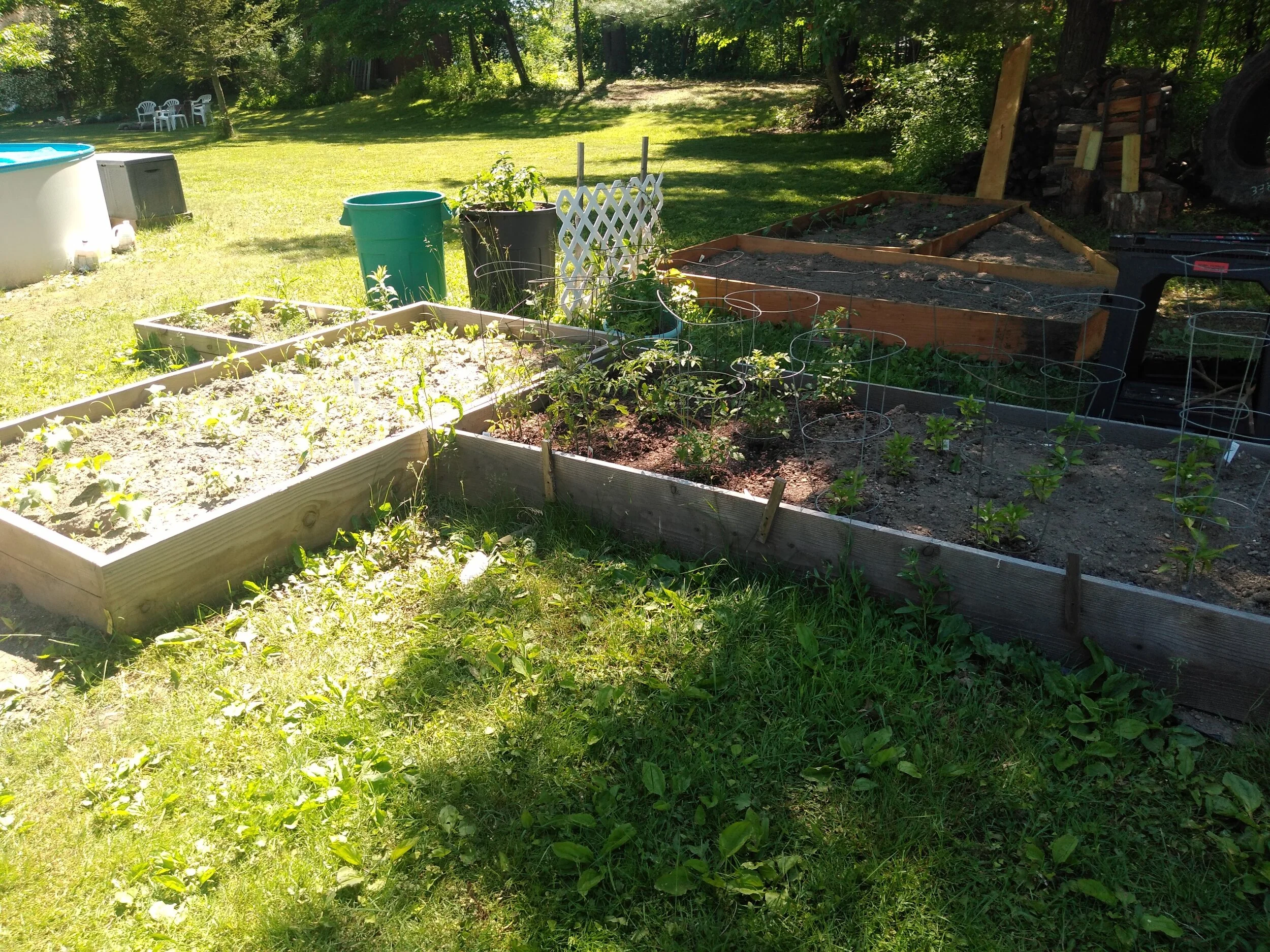 Planting your own and actually liking it..