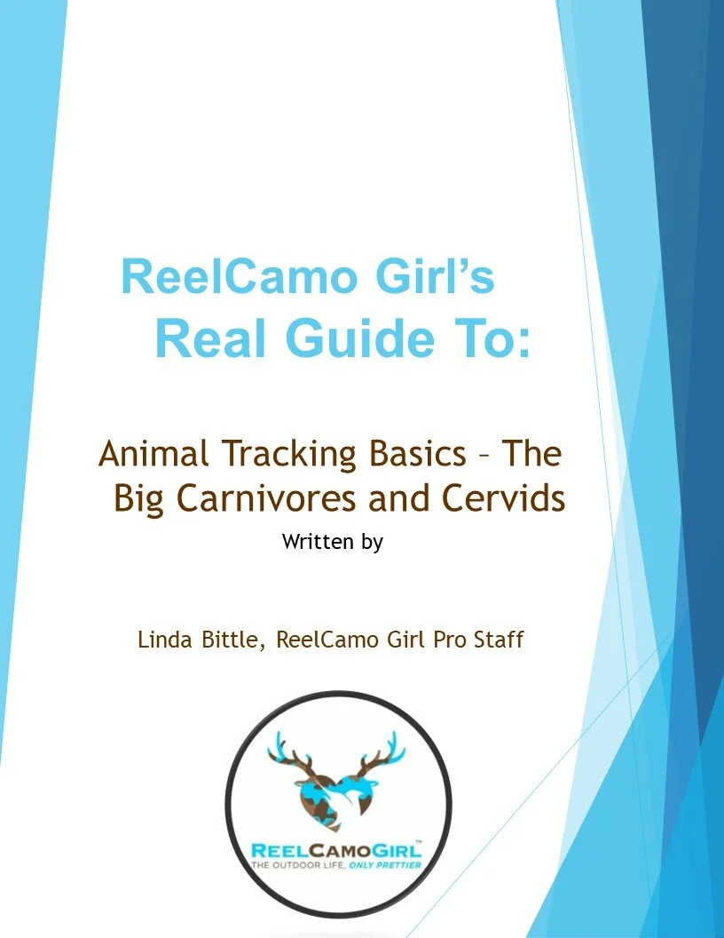 Animal Tracking Basics: Big Carnivores and Cervids