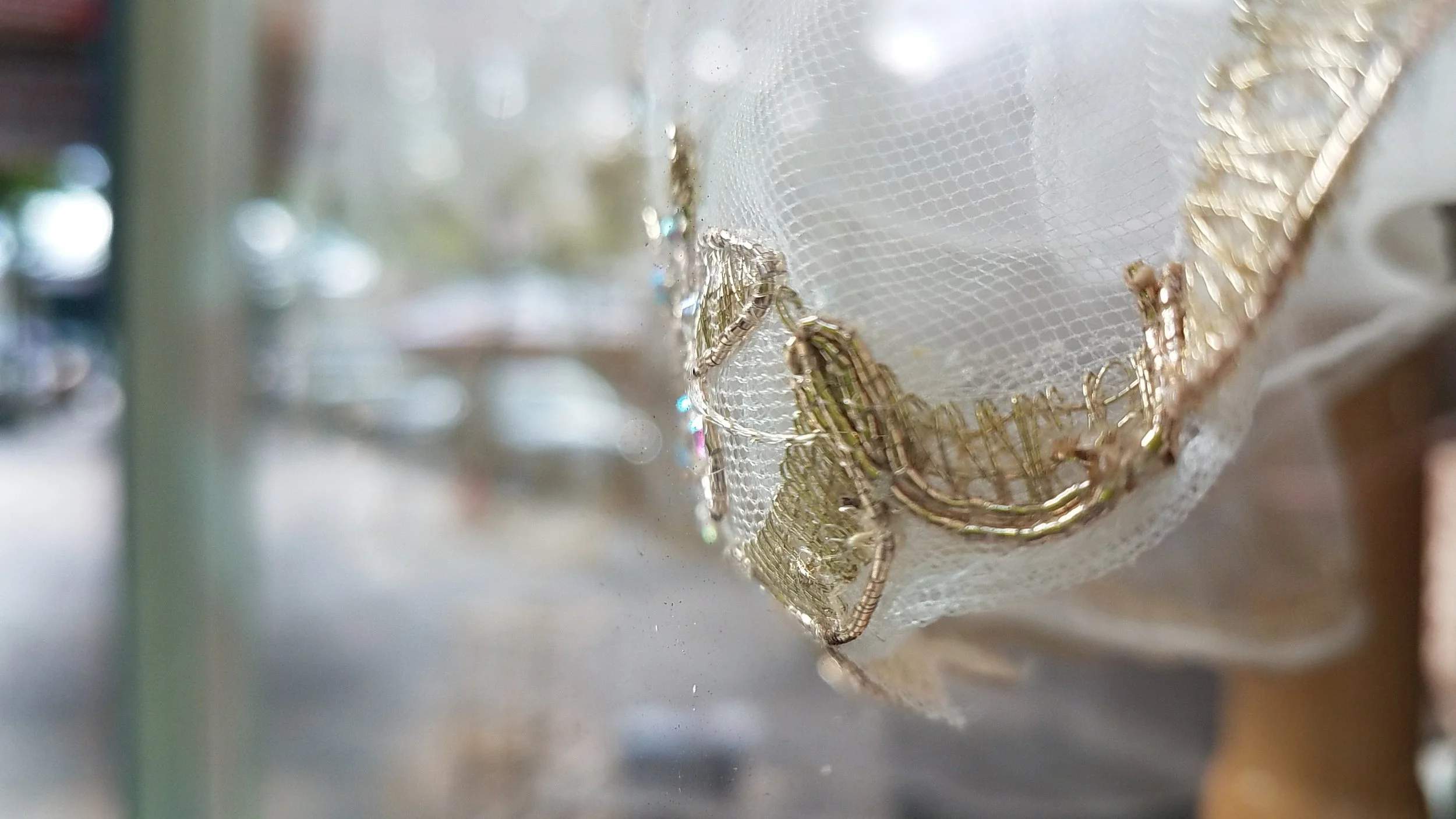 2017 chinatown window.jpg