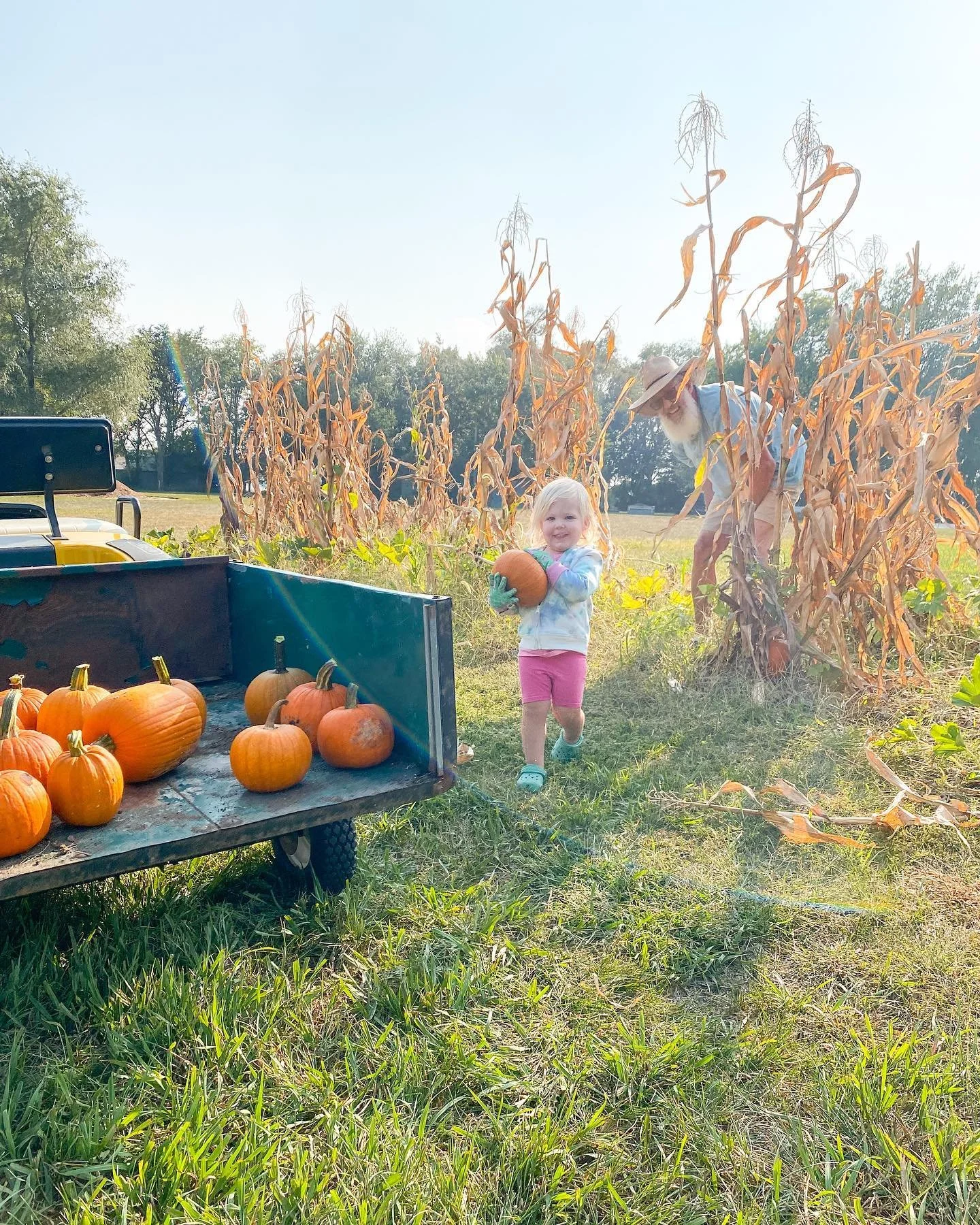 Picking pumpkins she planted at grandpa&rsquo;s