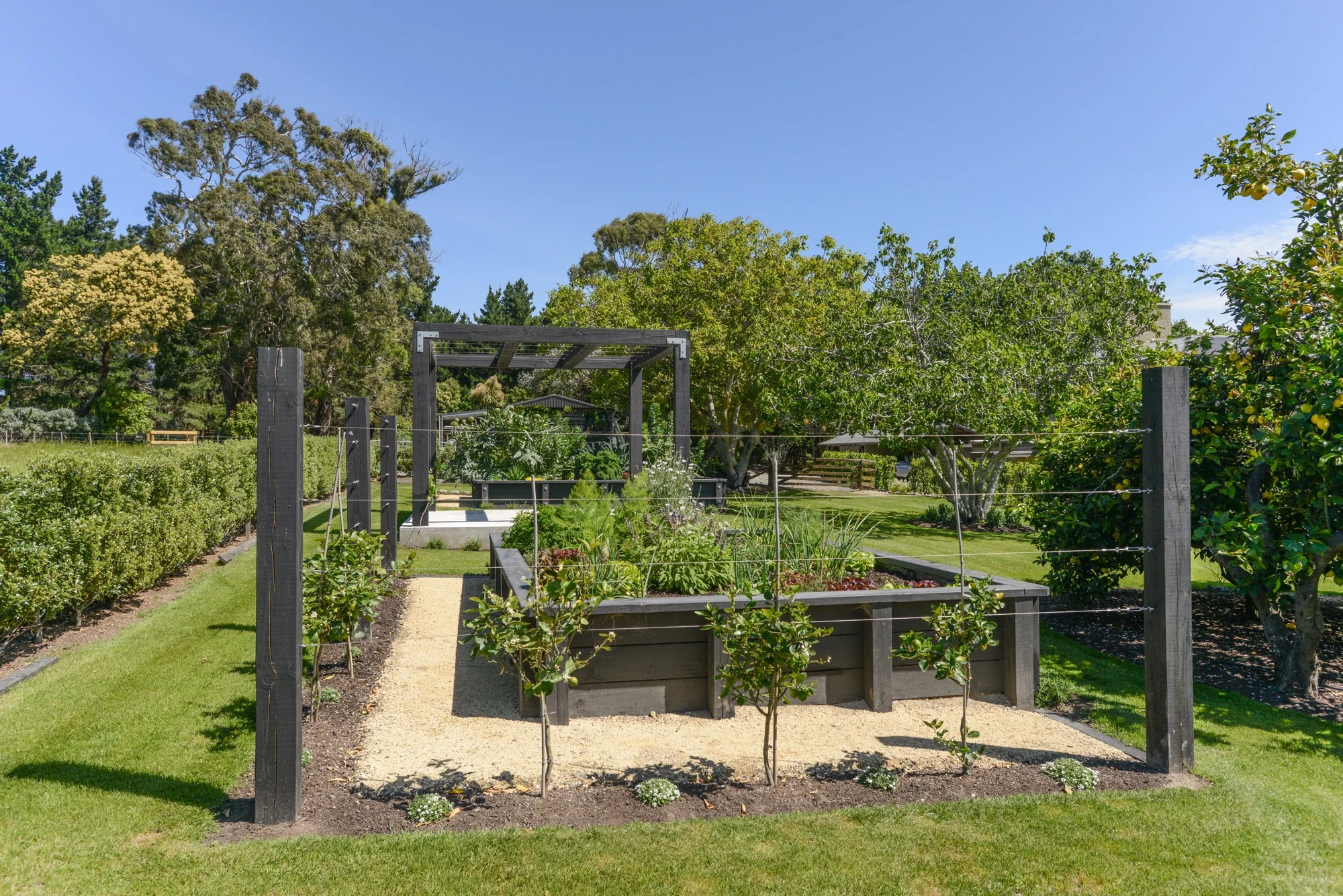 Orchard