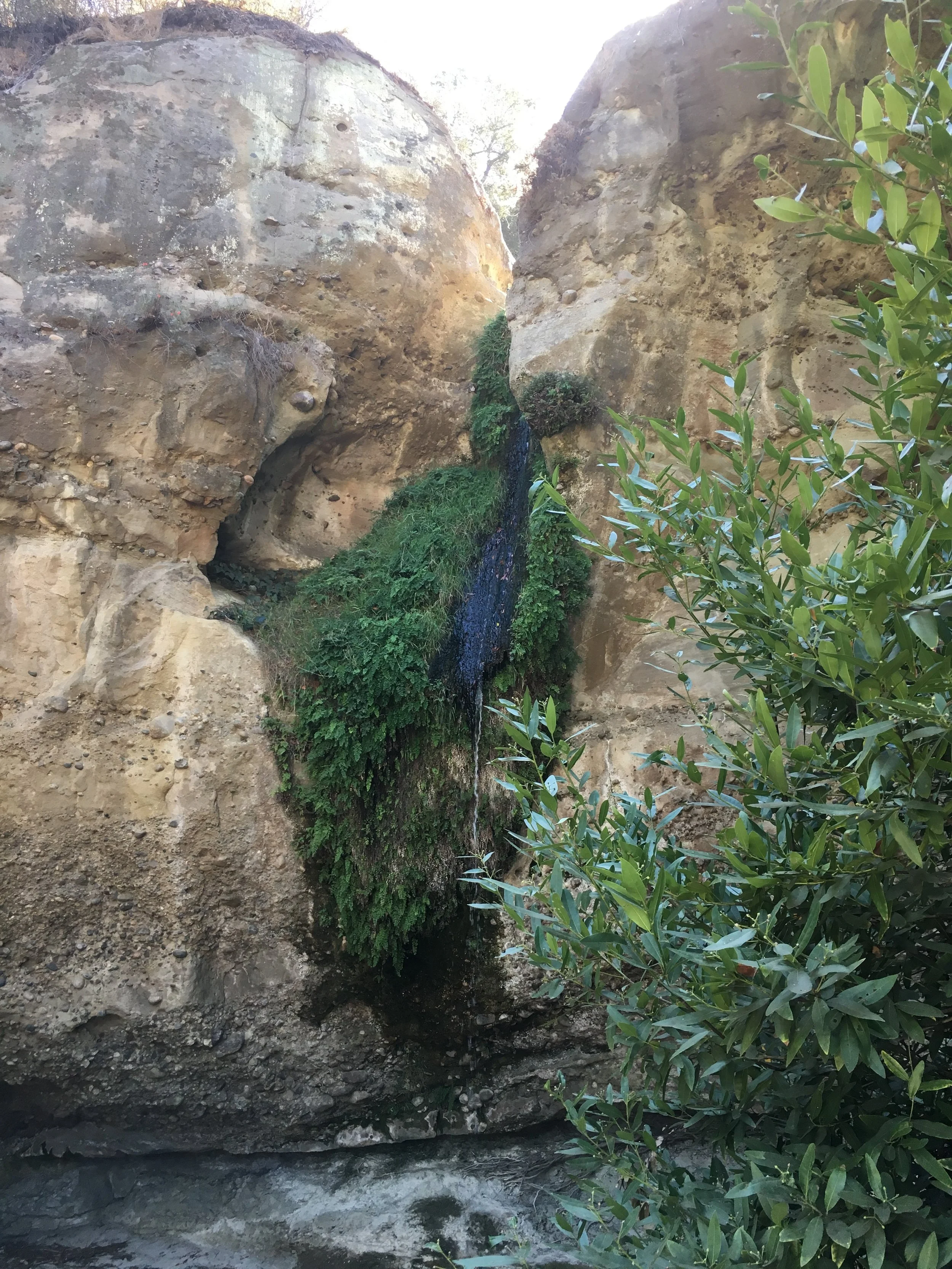 Tea Ceremony & Tasting:  Under the falls at Jalan Jalan Imports 