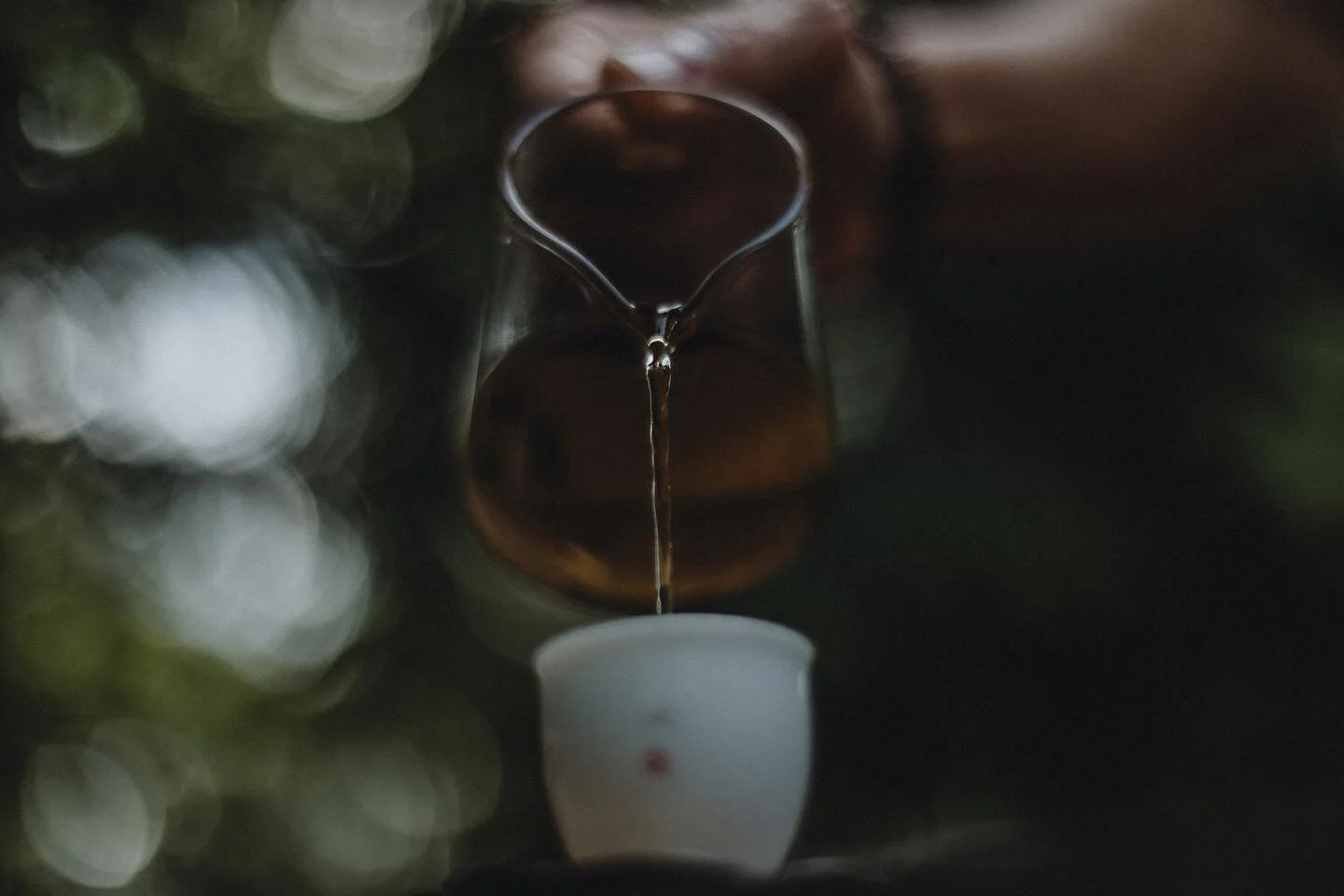 &quot;Honey Sweet&quot; White Tea, Spring 2008,

With wafts of honey fragrance and tastes, this aged white tea is smooth, light, and astoundingly declicious.  Aged since 2008, there is no astringency.  Just purity, softness and a surprise of honey.  