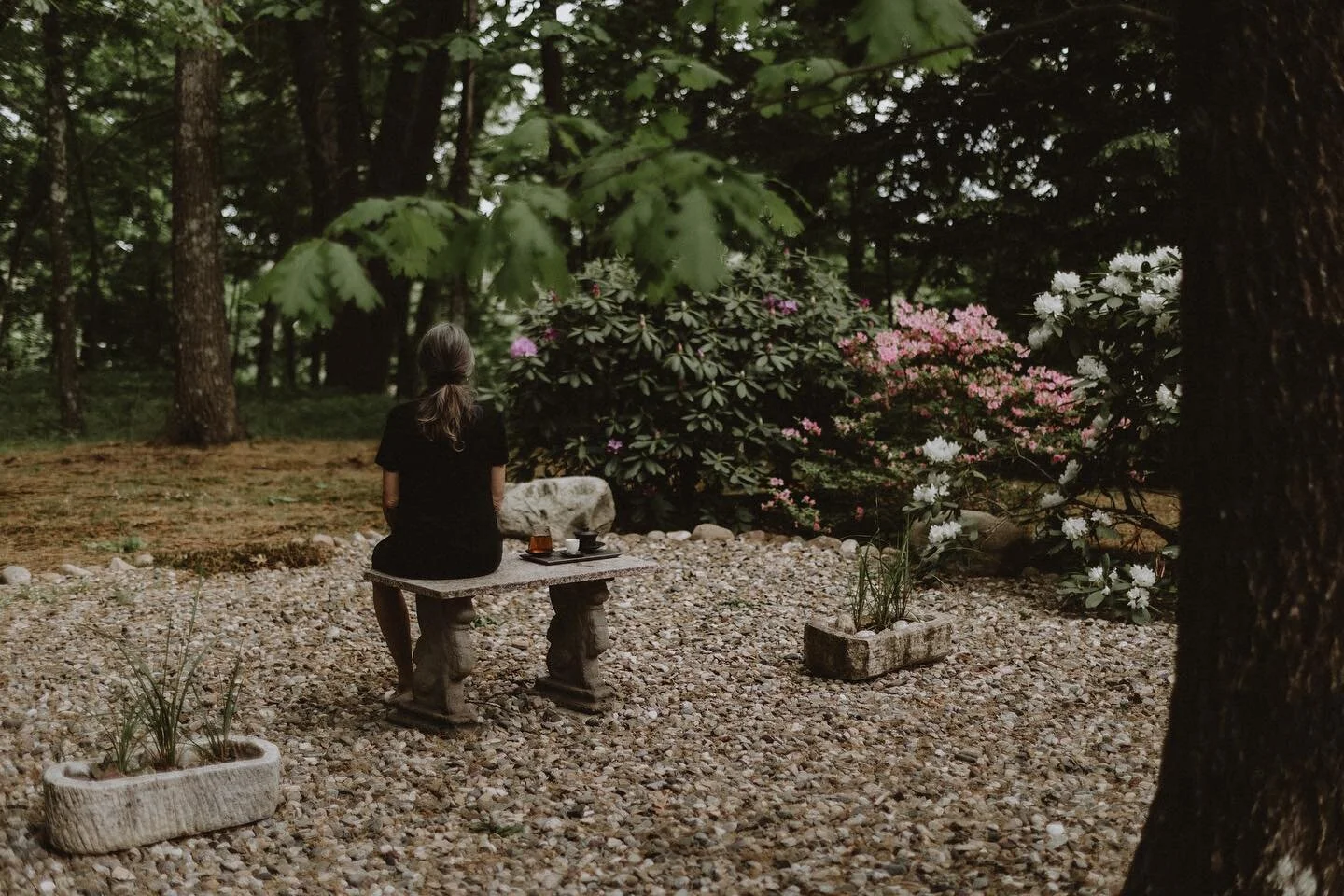 A quiet place

#tea #sonwutea #wuhealing #tealifestyle #lifestyle  #tealover #ilovetea #teaculture #gongfutea #teaceremony #explorechina #teamatser #luxury #luxurylifestyle #wabisabi #design  #readeighty #chinesetea #designlife #tealife #teaaddict #i