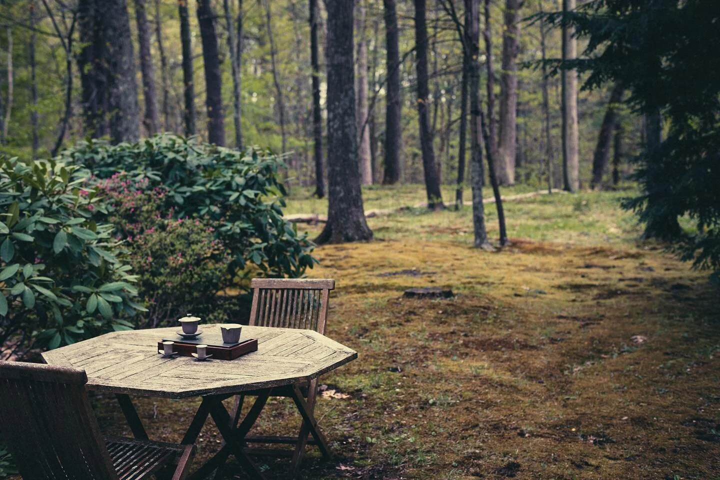 Something magical happens around the tea table. 

#tea #sonwutea #wuhealing #tealifestyle #lifestyle  #tealover #ilovetea #teaculture #gongfutea #teaceremony #explorechina #teamatser #luxury #luxurylifestyle #wabisabi #design  #readeighty #chinesetea