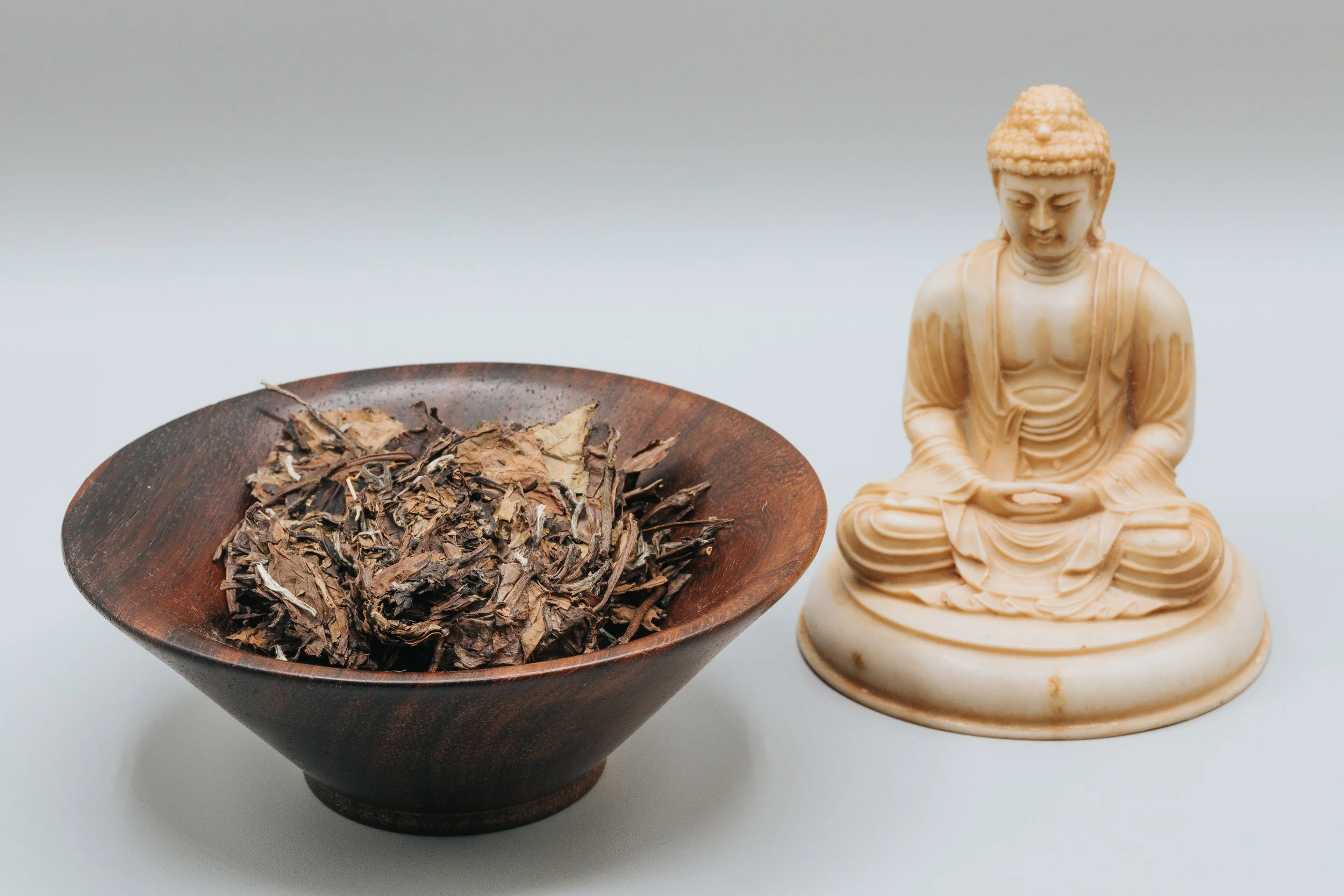 "Pure Minded" White Tea, Spring 2012, Tea Master Wu, Bailin Town