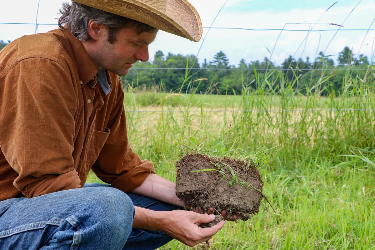 Investment in Regenerative Agriculture Connects the Dots Between Soil and Plate