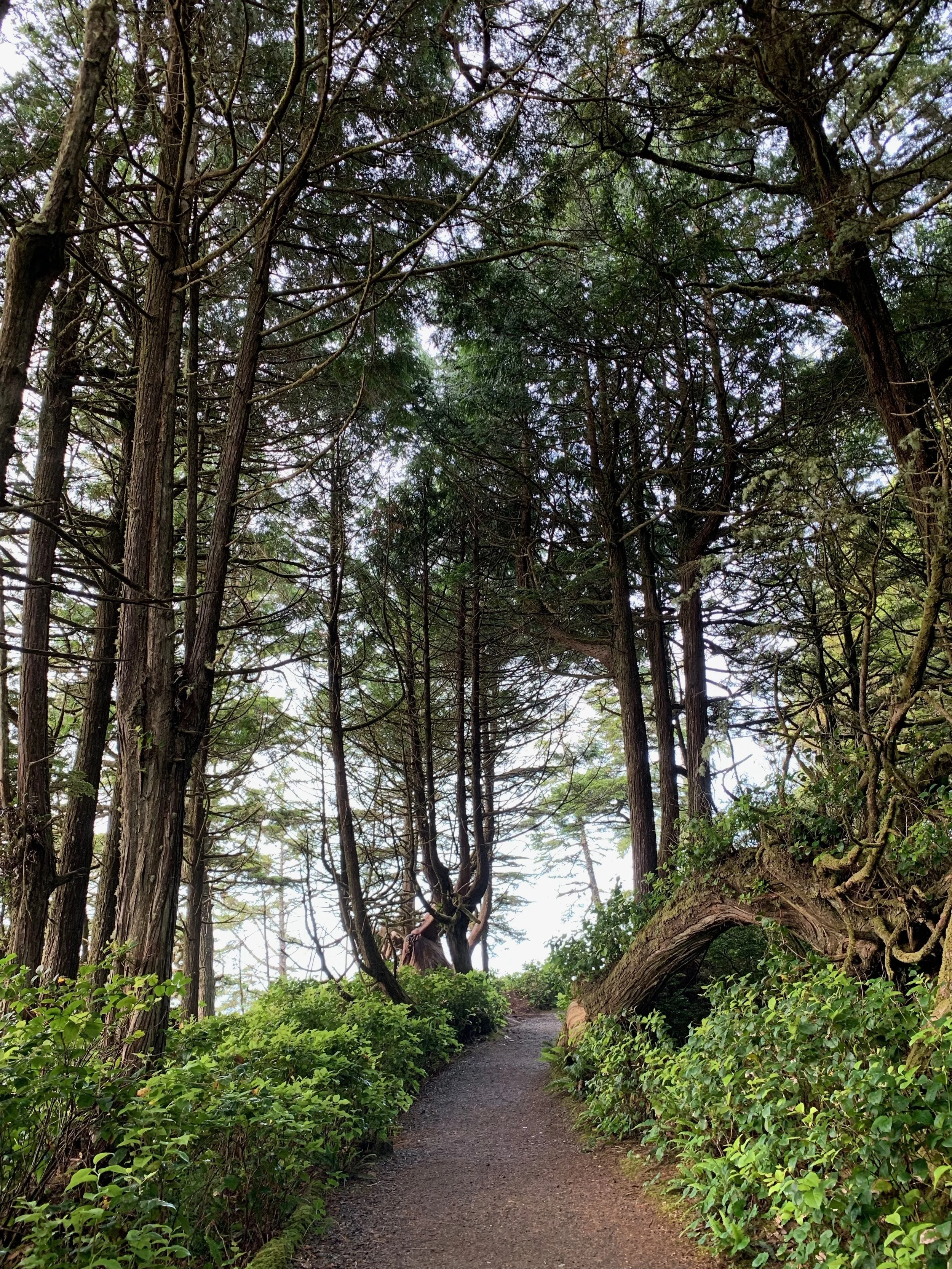 One Writer’s 17-City Food Odyssey to Discover Canada’s Best New Restaurants 