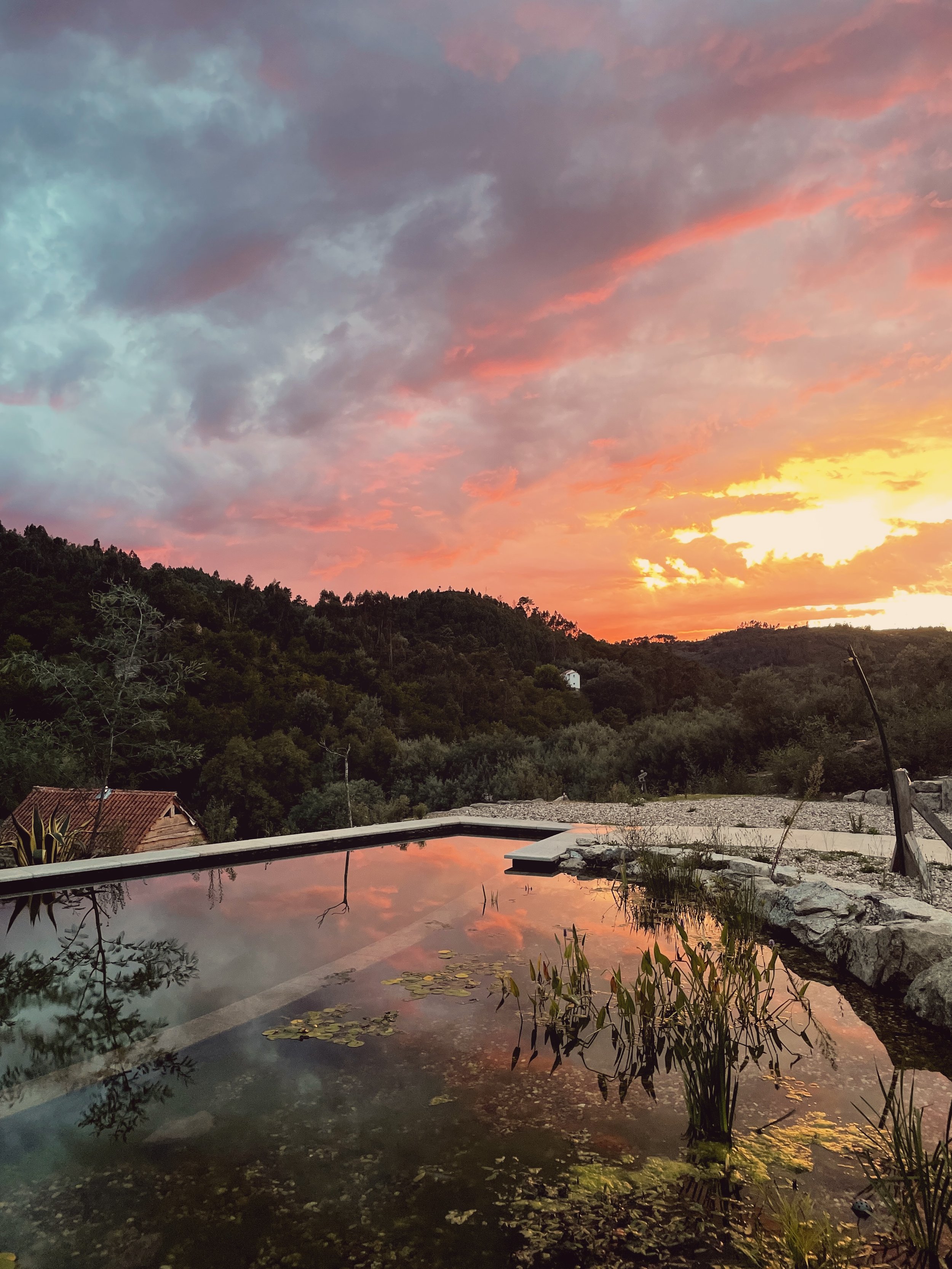 Bio pool at sunset