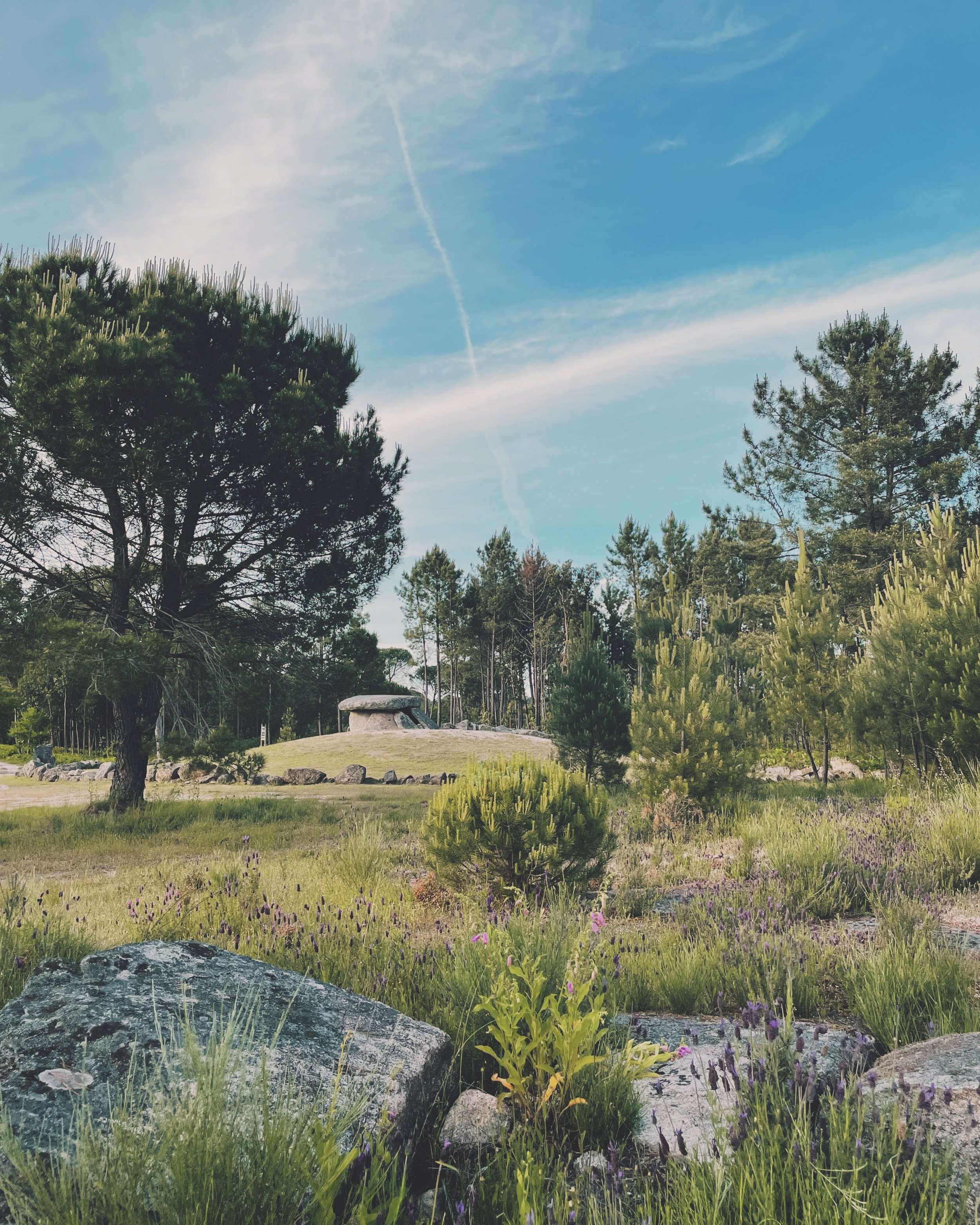 Dolmen Nature reserve