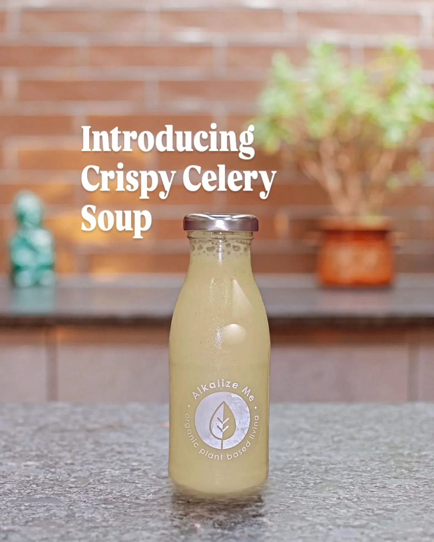 Soup Season 🍂🍲

Nothing feels better for us at this time of year, when the temperature has dropped and the evenings have drawn in than warming up with a bowl of our tasty soup. 🥣

So what a perfect time to shine a light on our newest plant-based s