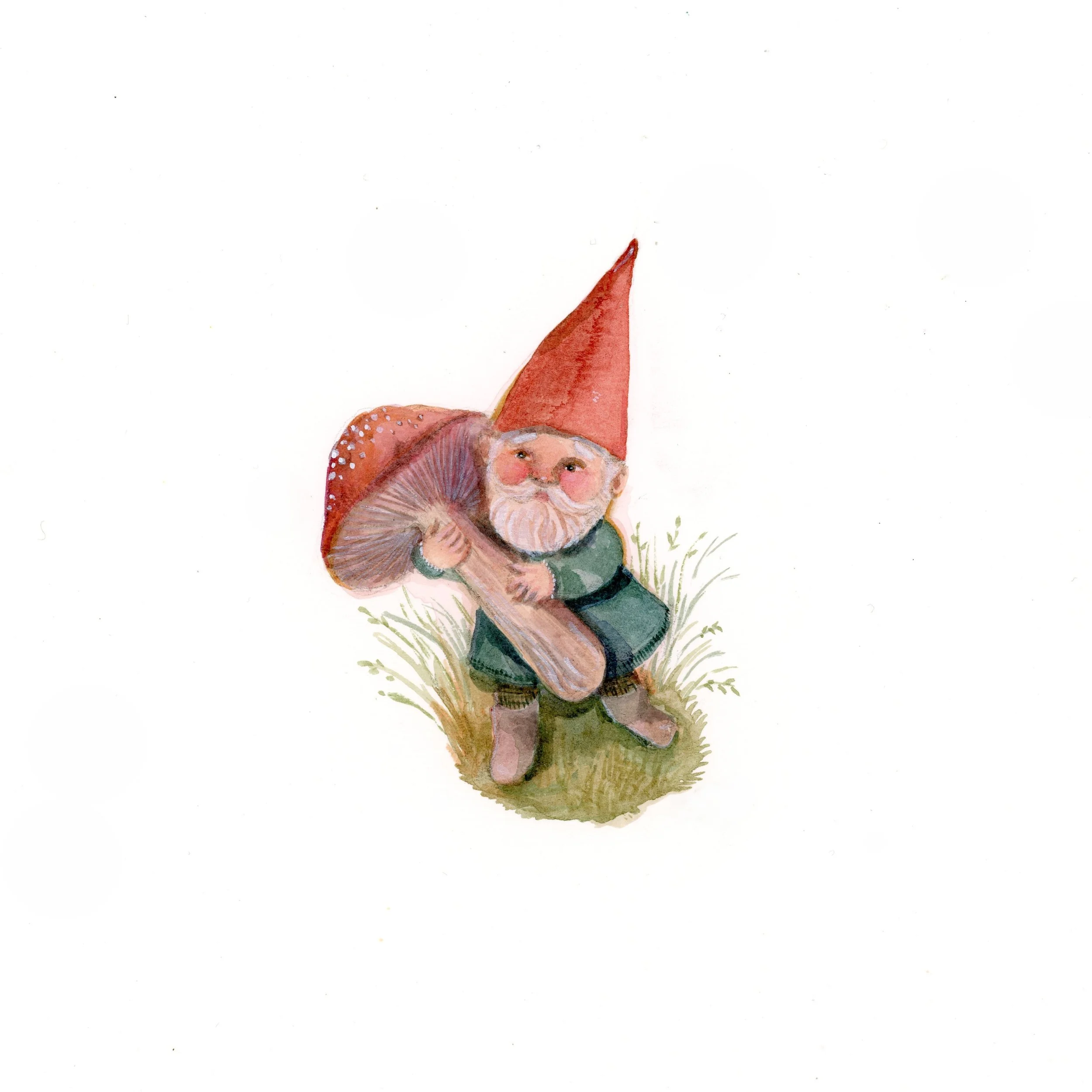 Gnome