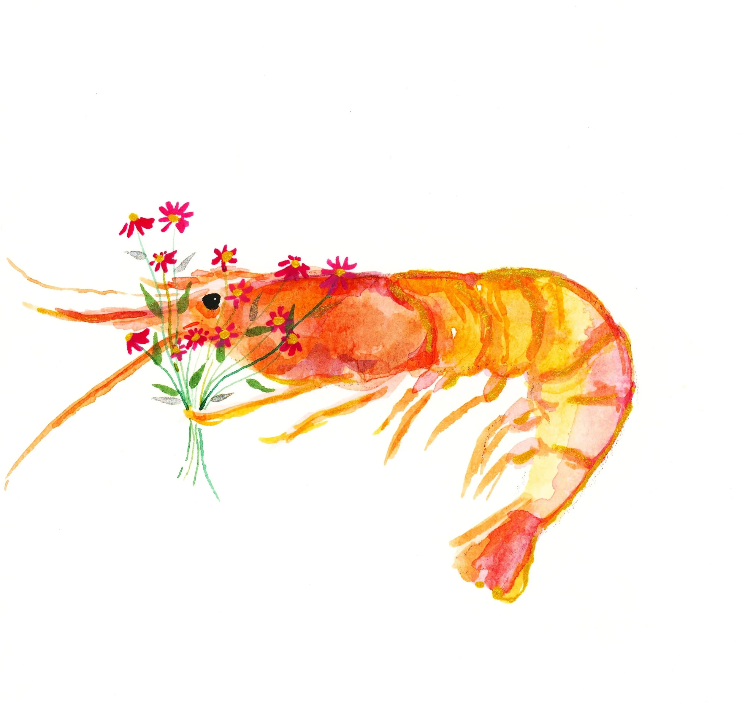'Shrimp want flowers too!'