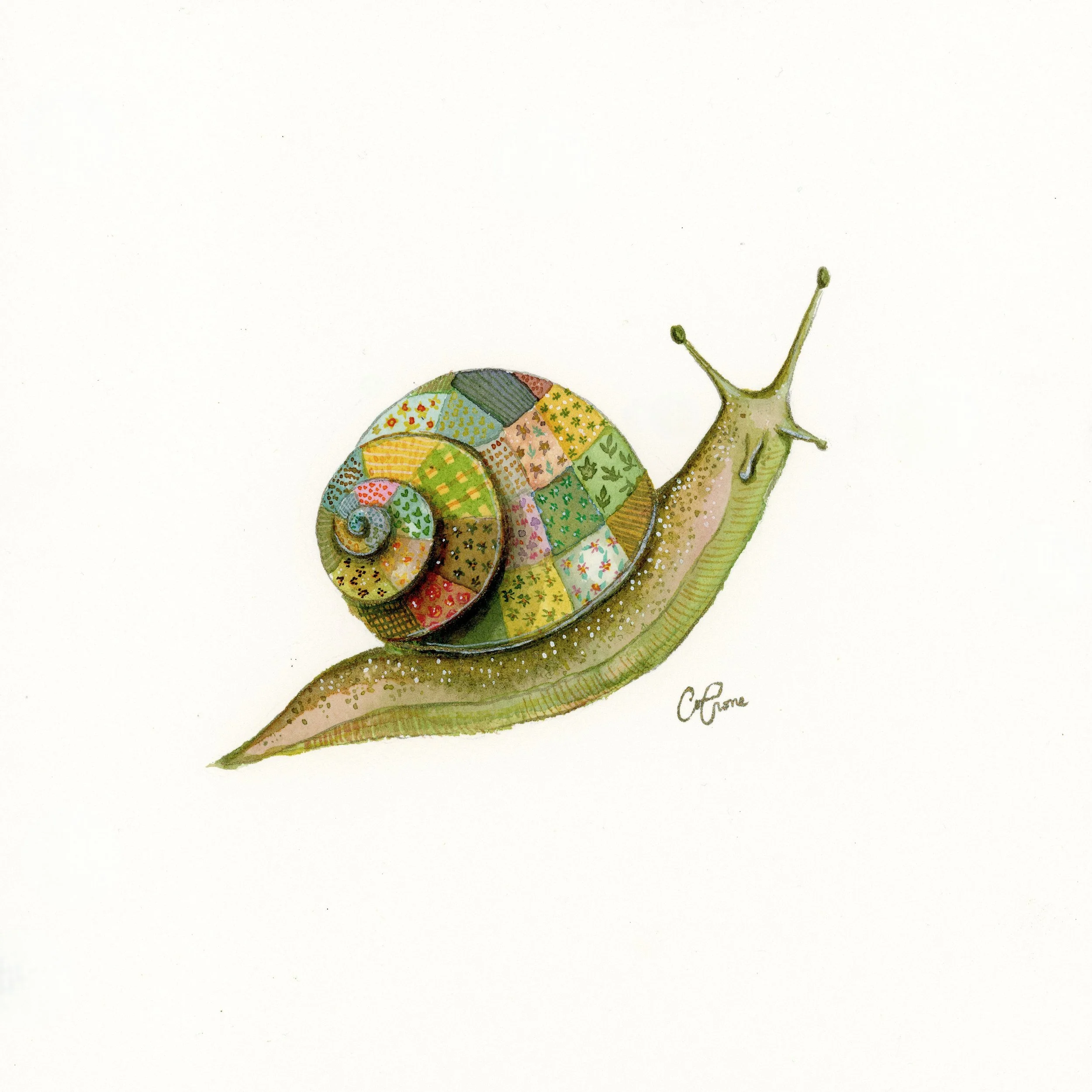 Patchwork Snail