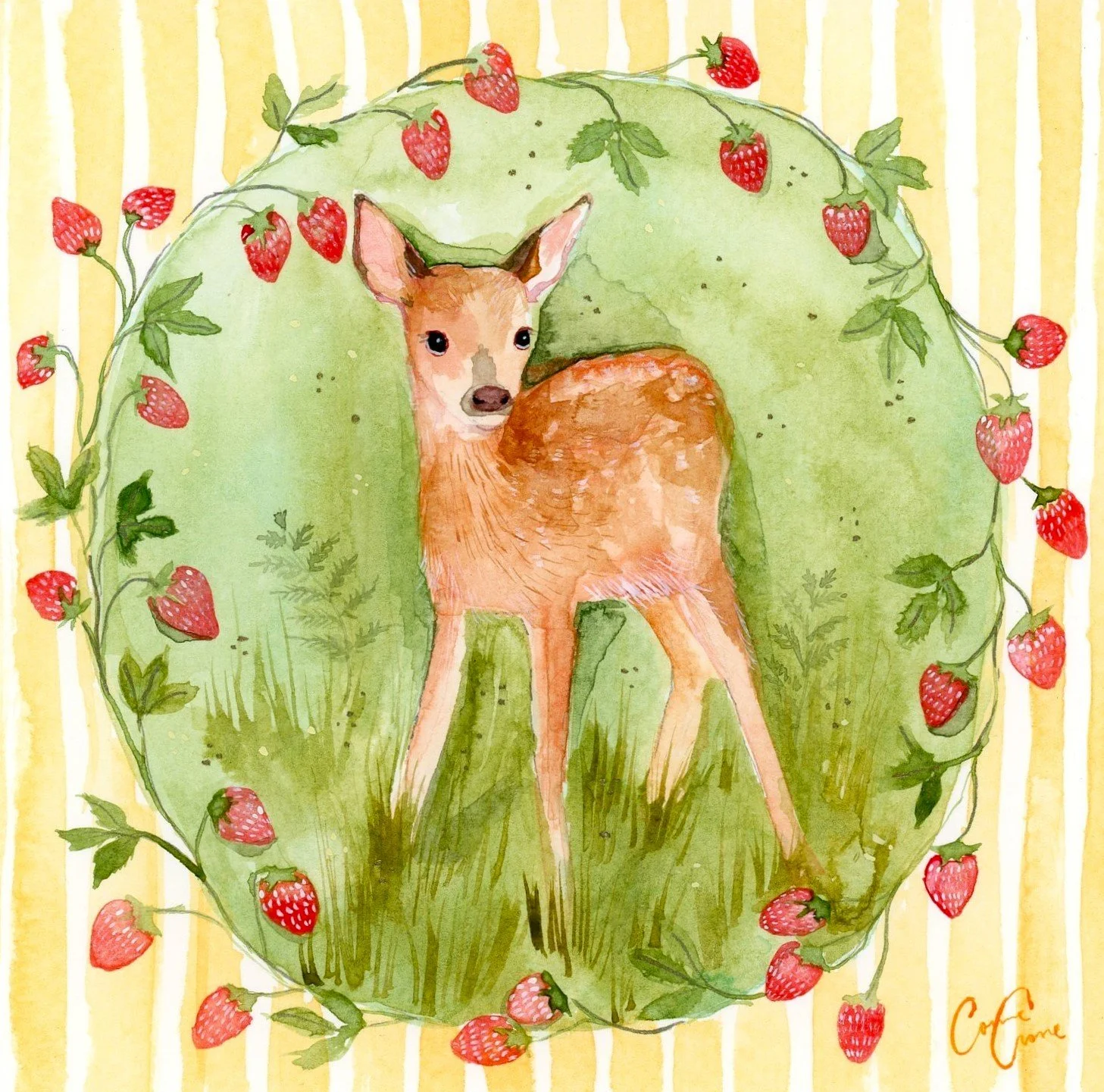 Strawberry Doe