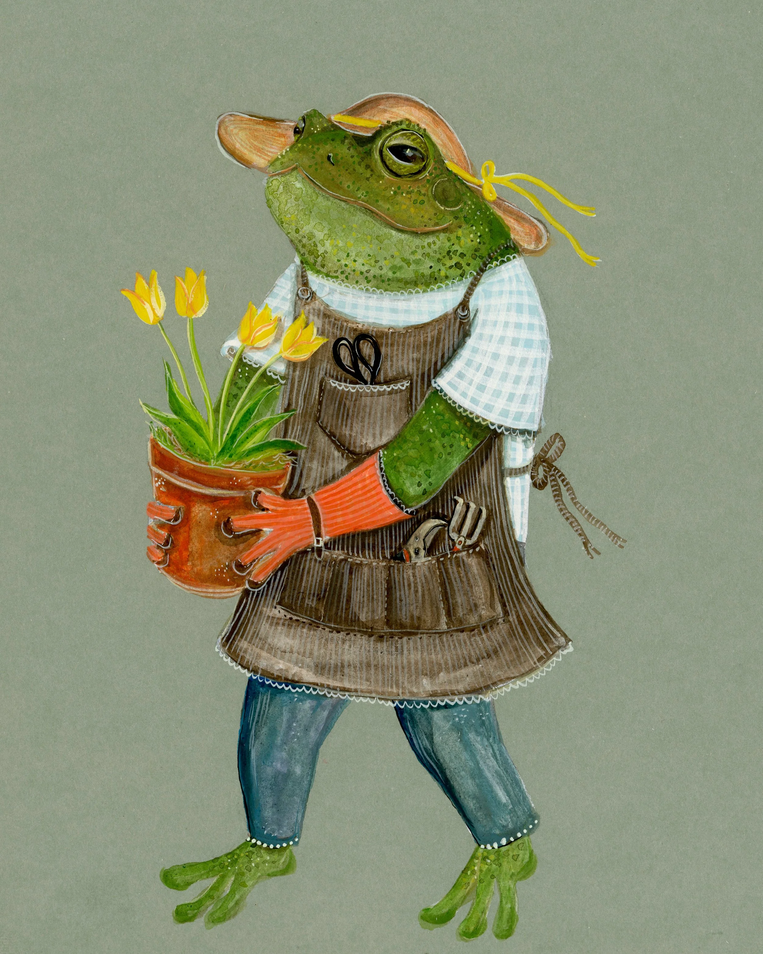 Spring Toad.jpg