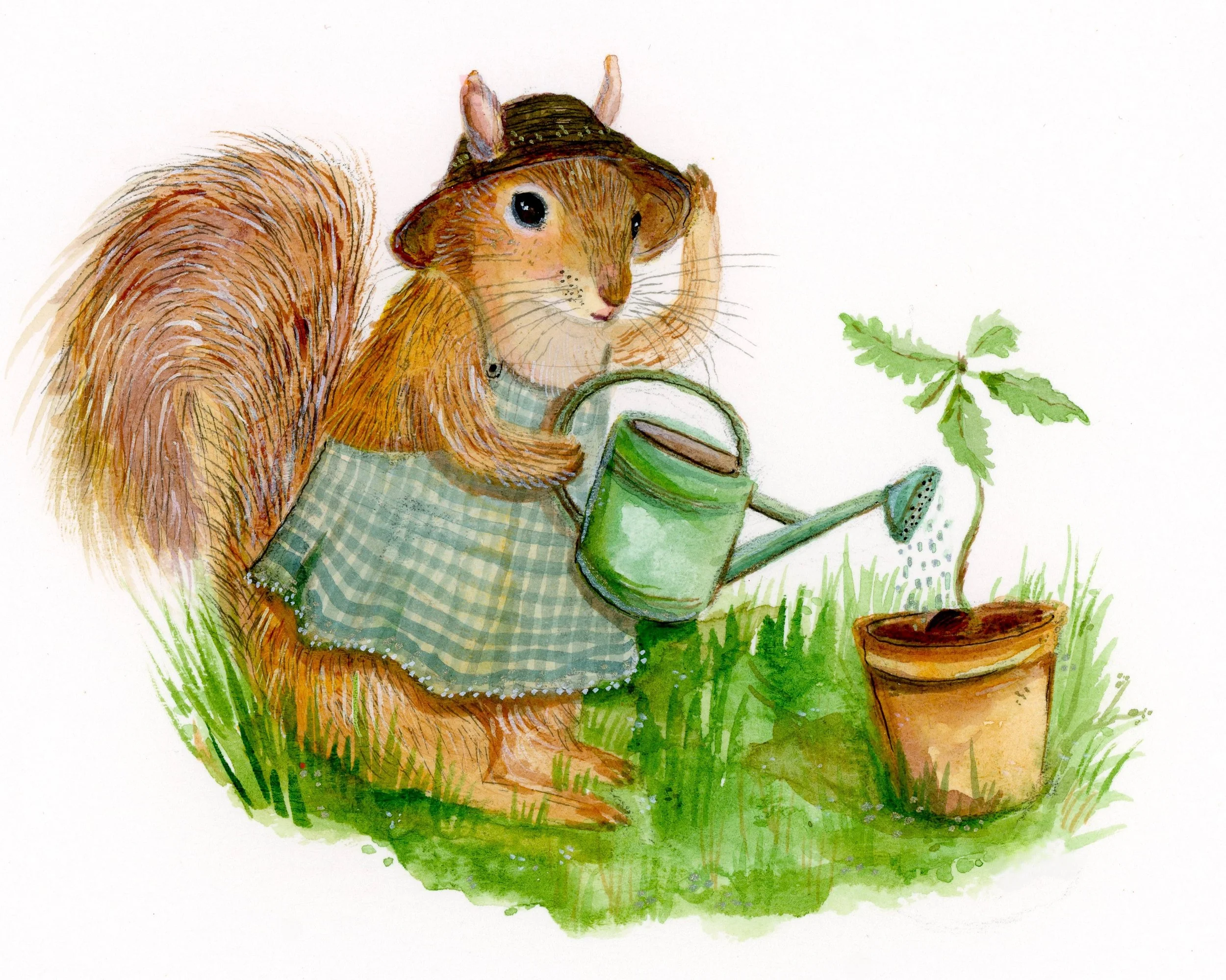 Squirrel in the Garden