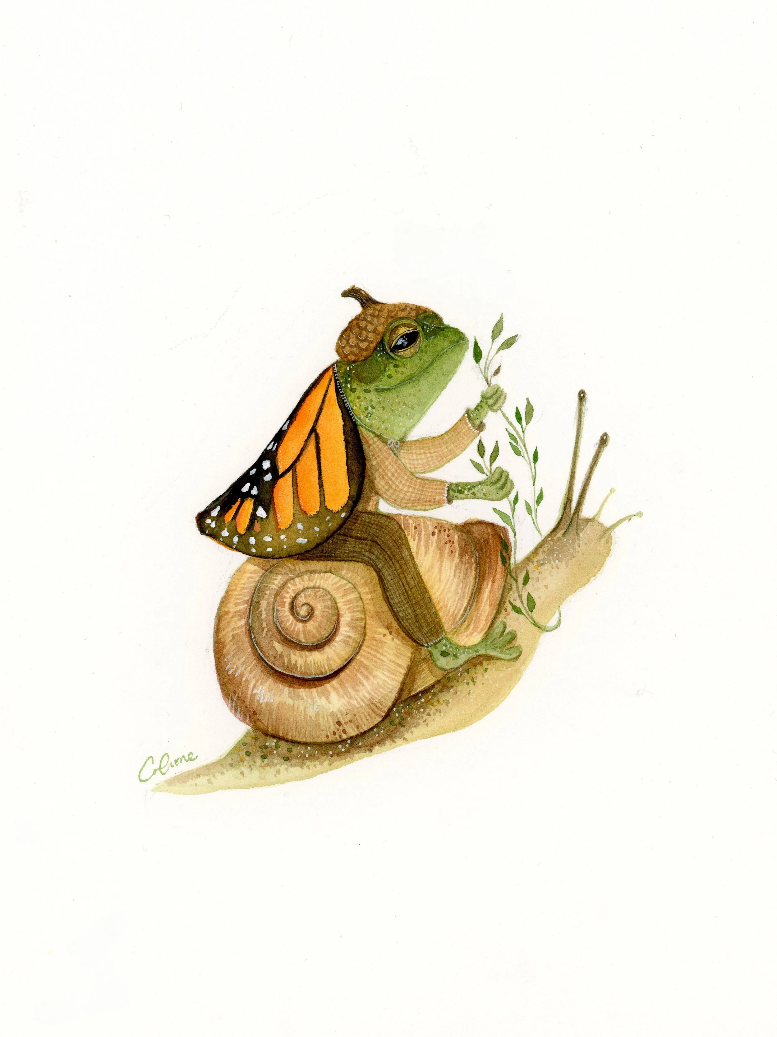 Snail & Toad on an adventure