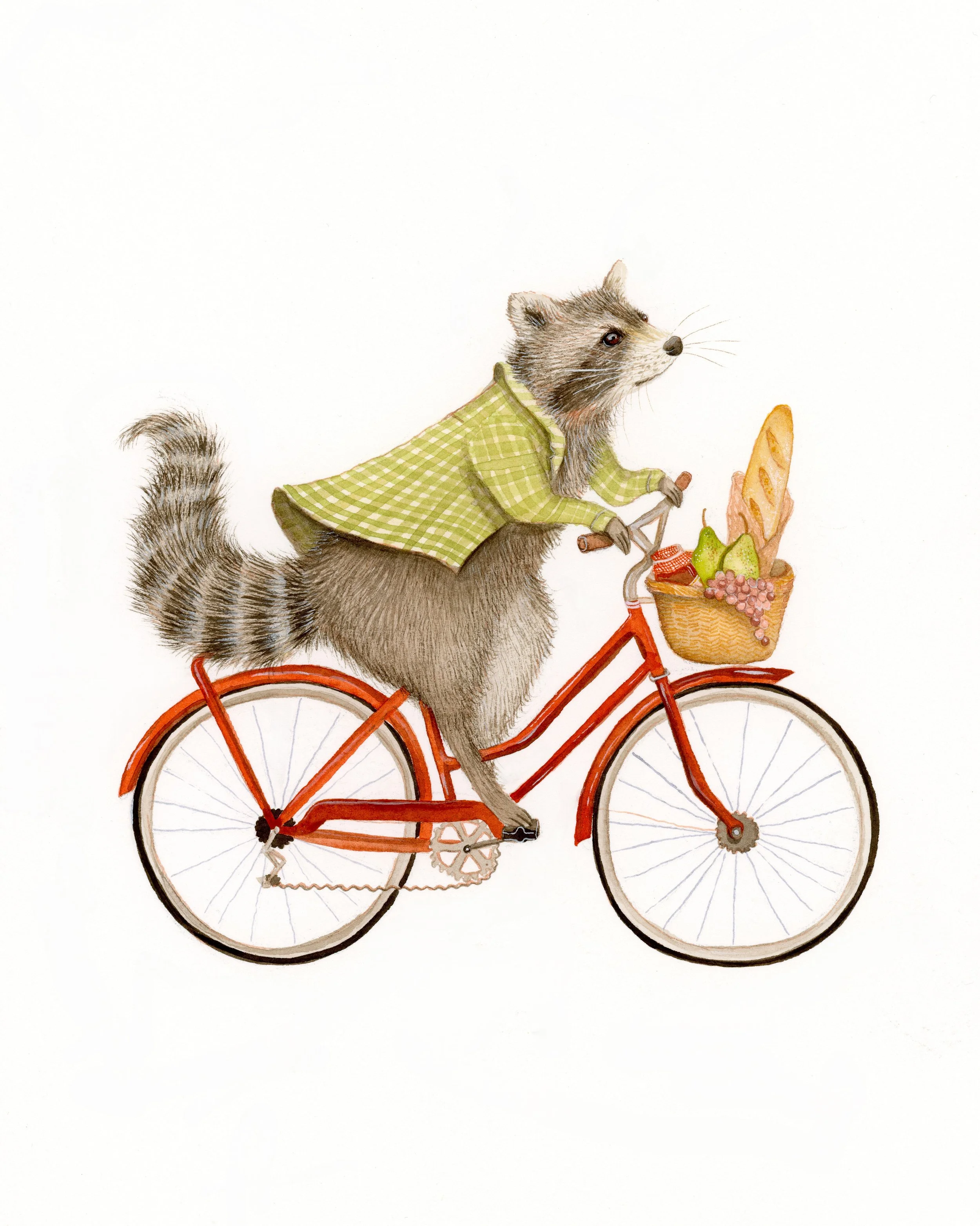 Bike Racoon.jpg