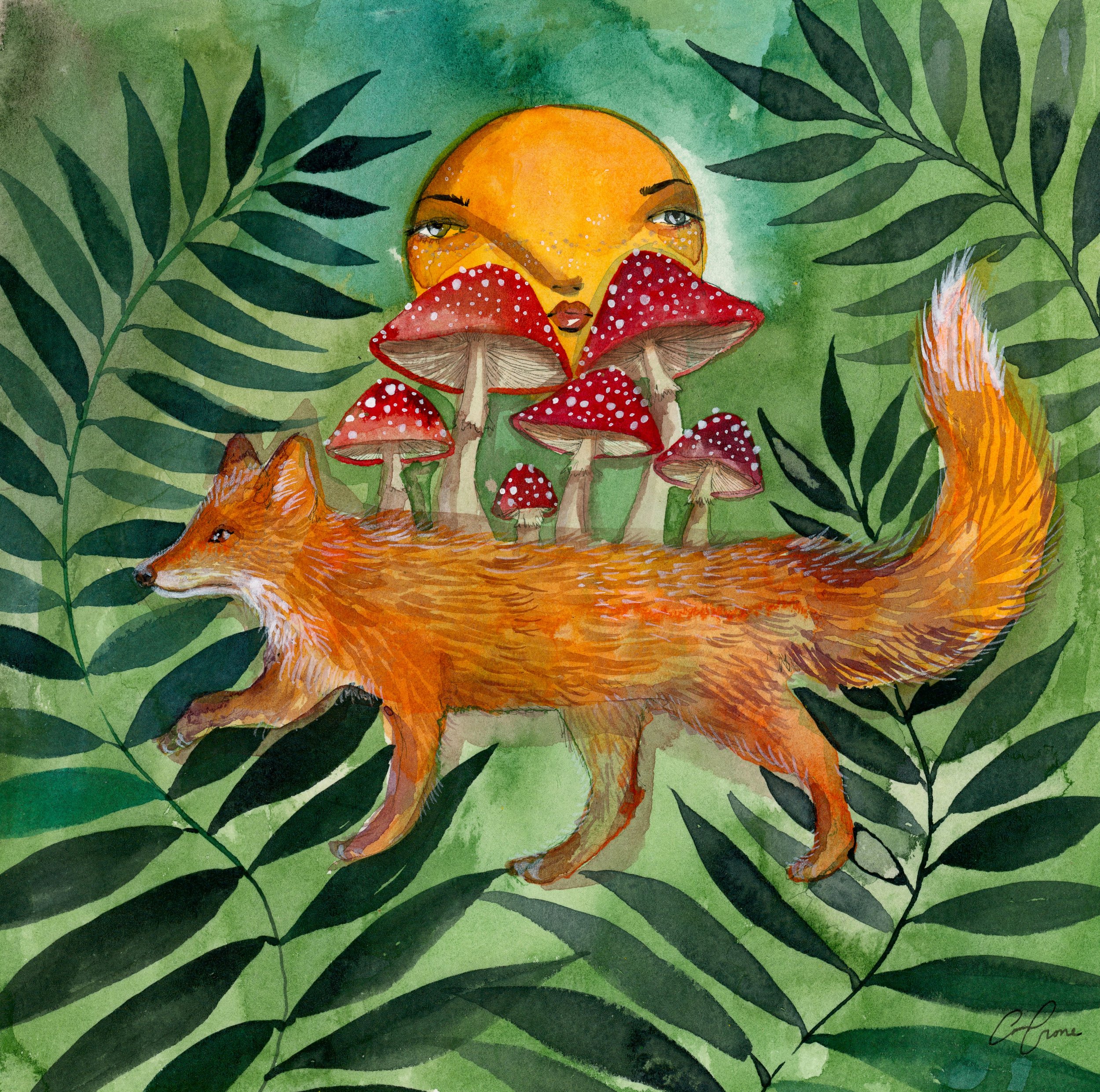 full moon fox.jpg