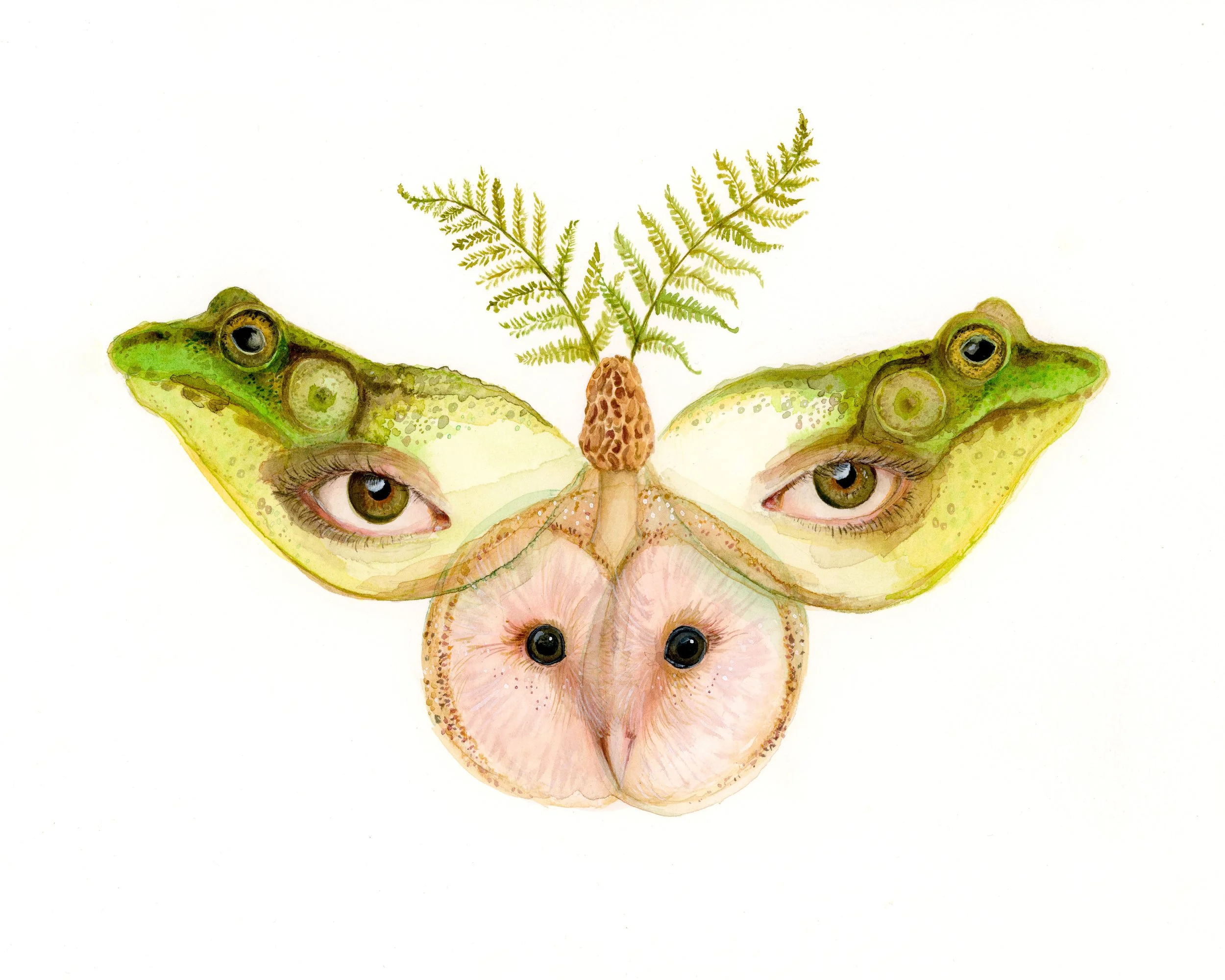 'Watchful Wings' No.2