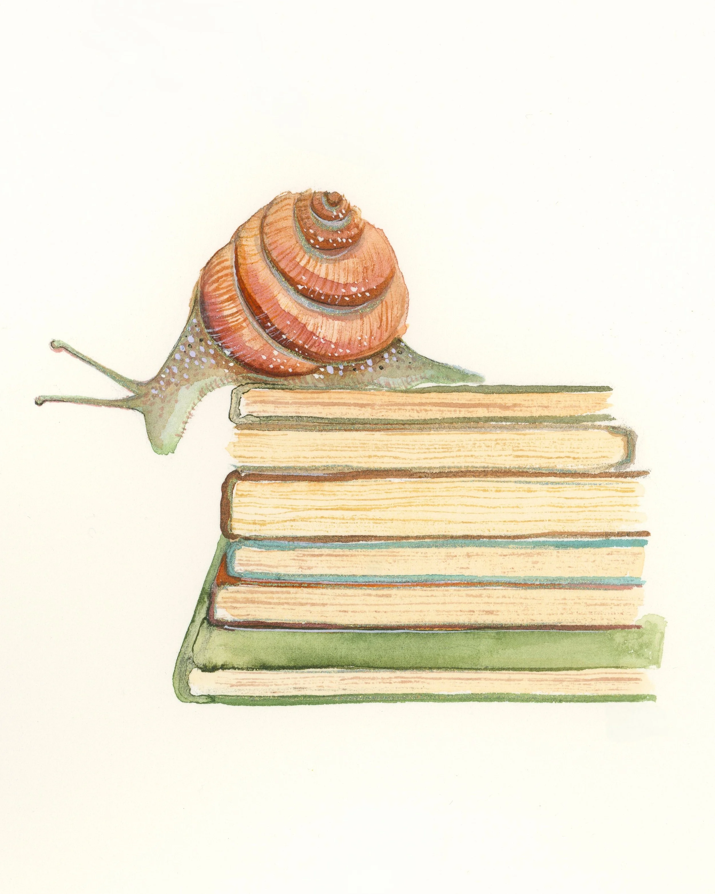 Book Snail