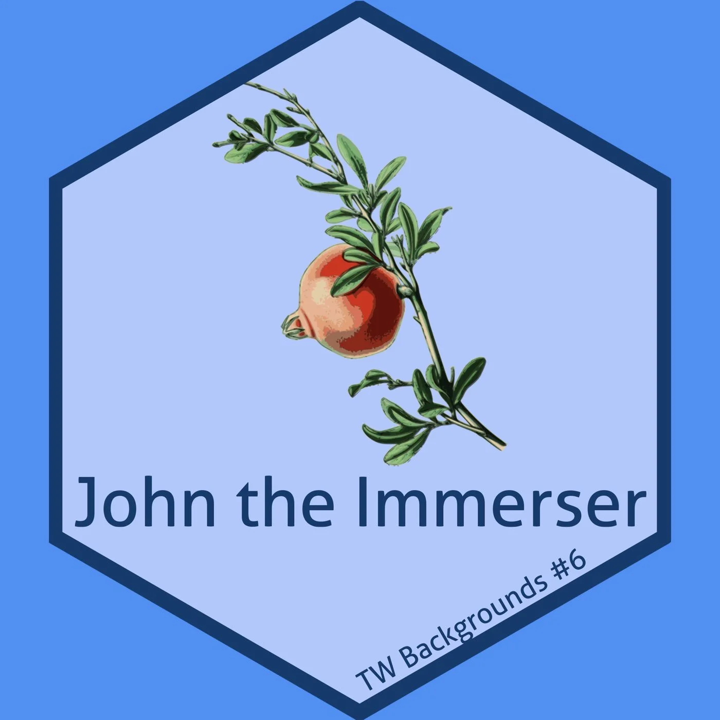 6-John the Immerser - John 1:19-28 - Chris Backgrounds