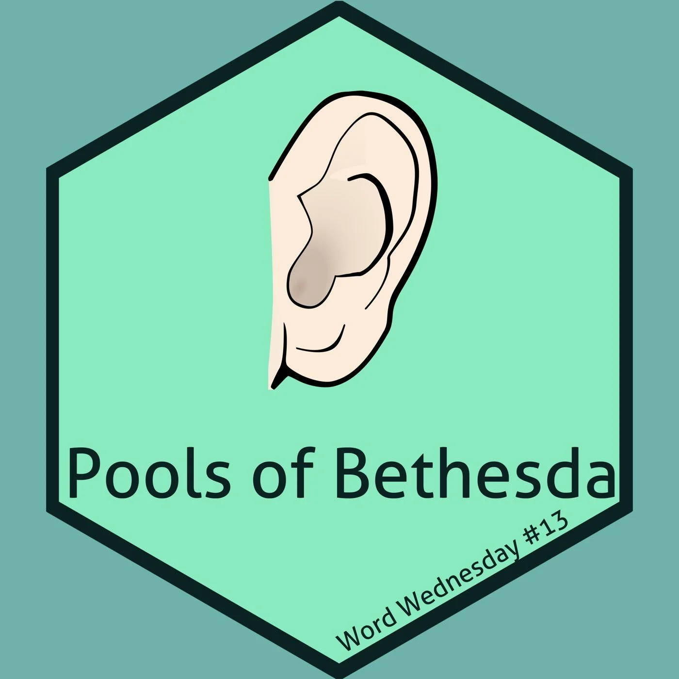 13-Pools of Bethesda - John 5 - Cody &amp; Chris-2/15/23 (Ep# 37)