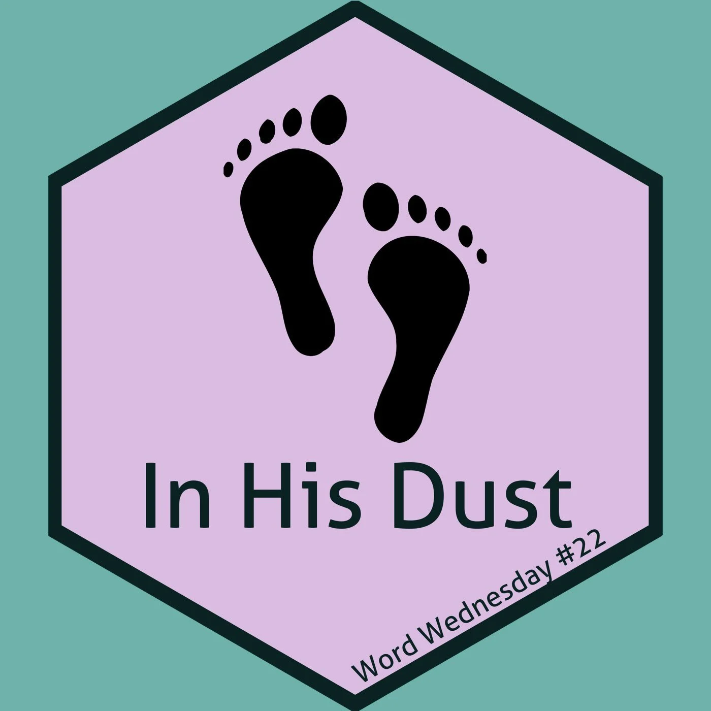 22-In His Dust - Matthew 5-7 - Chris (Ep# 56)
