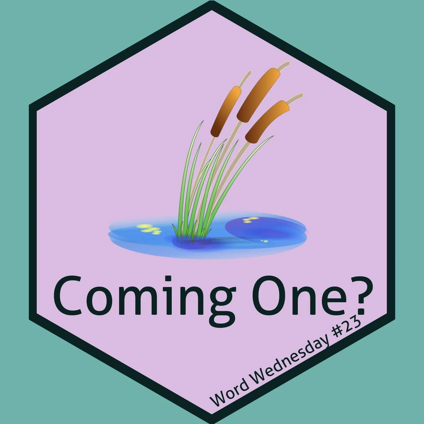 23-Coming one? - Luke 7:1-8:3 - Cody &amp; Chris-7/19/23 (Ep# 59)