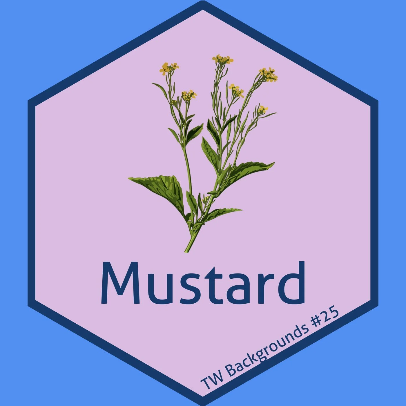 25-Parables II - Matthew 13:24-43 - Chris Backgrounds 1 (Ep# 62)