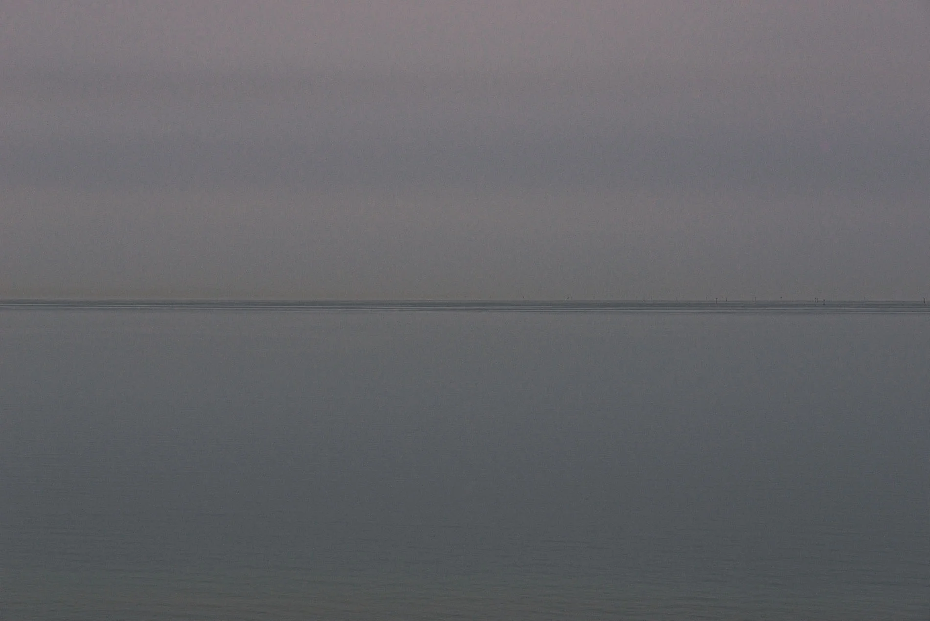 _DSC8993 as Smart Object-1.jpg