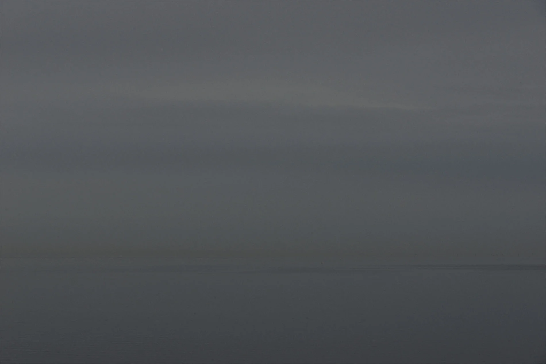 _DSC8979 as Smart Object-1.jpg