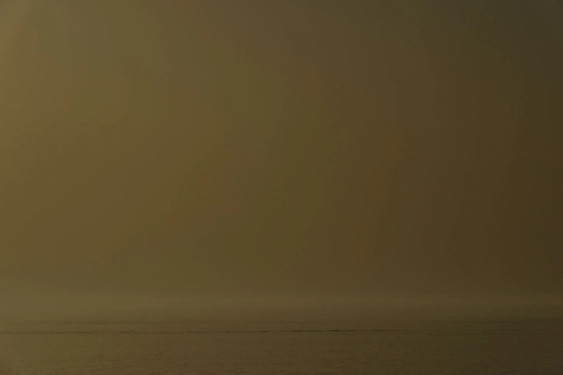 _DSC7773 as Smart Object-1 copy.jpg