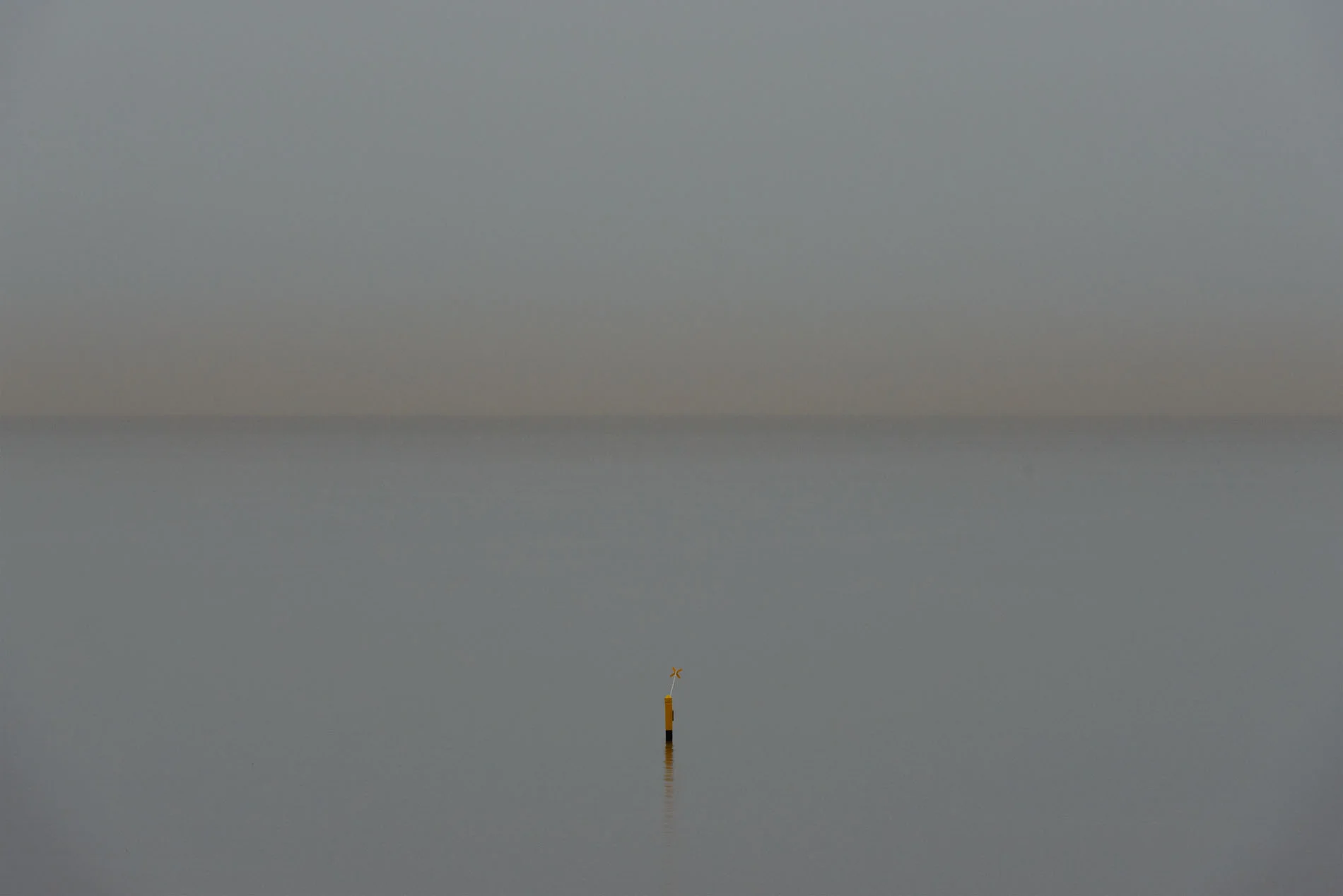 _DSC4530 as Smart Object-1 copy.jpg